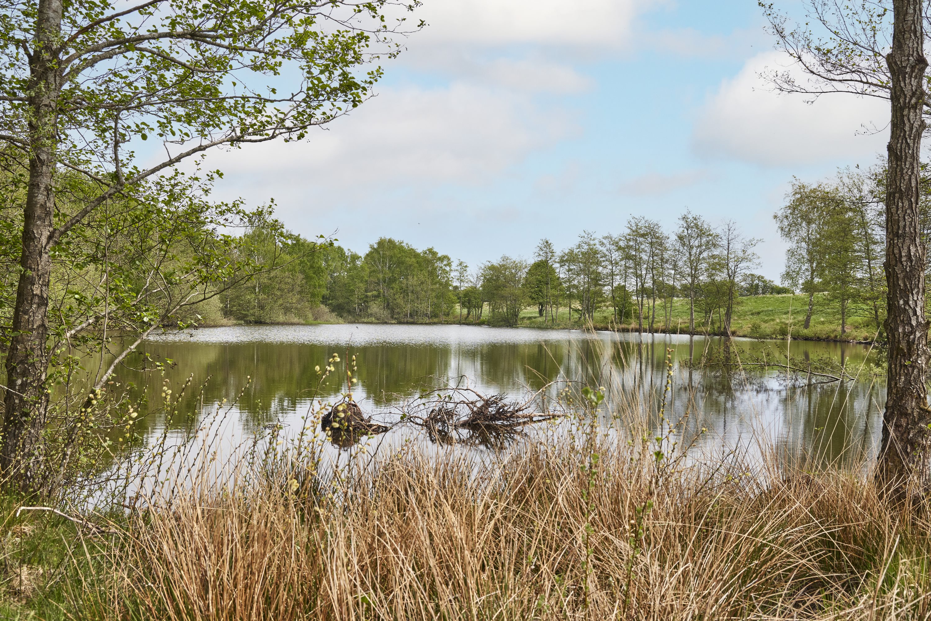 Fremhævet andet billede i fuldskærmstilstand. Billede af Skæret 1, 8800 Viborg