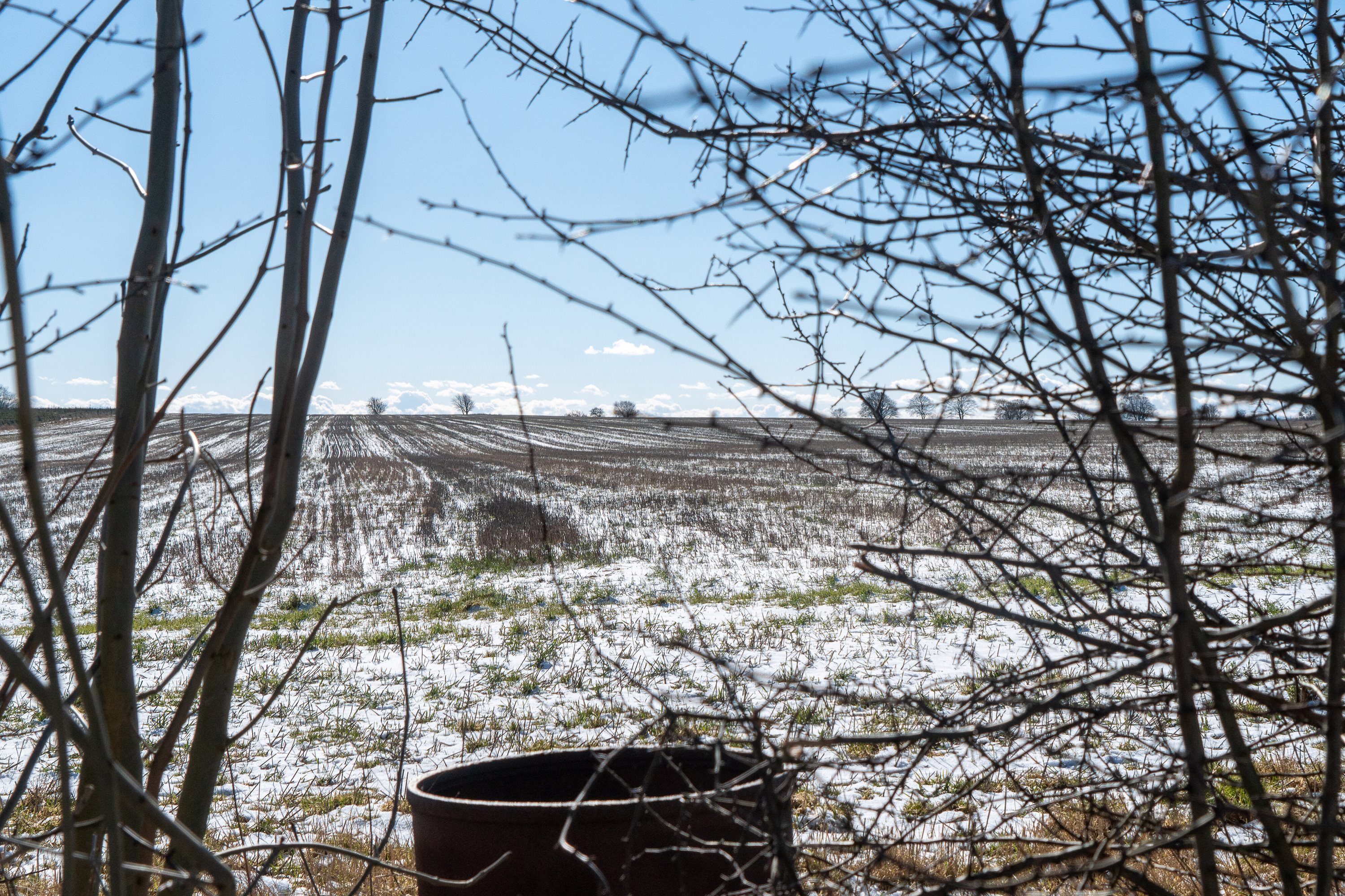 Fremhævet have billede i fuldskærmstilstand. Billede af Borup Byvej 100, 8920 Randers NV
