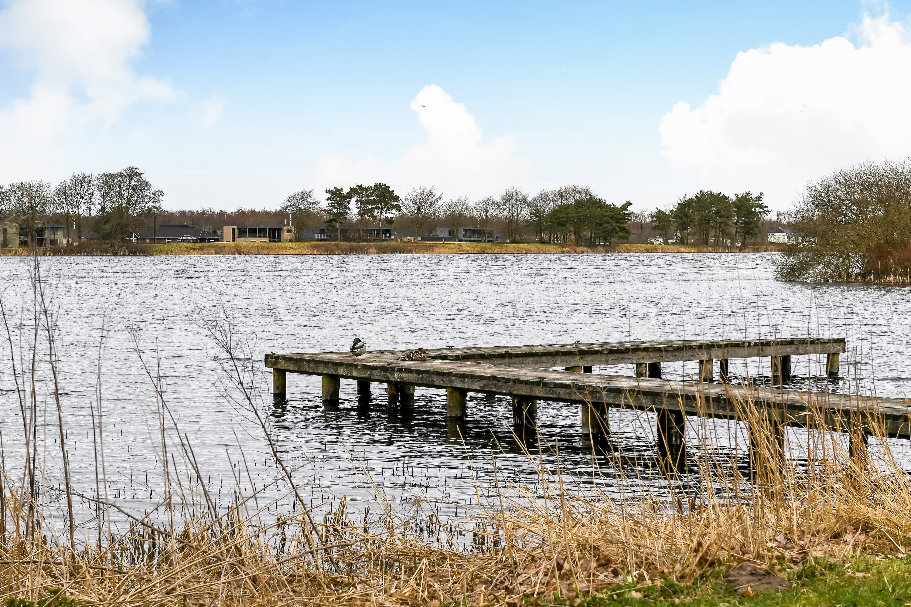 Fremhævet område billede i fuldskærmstilstand. Billede af Morsbølvej 84, Morsbøl, 7200 Grindsted