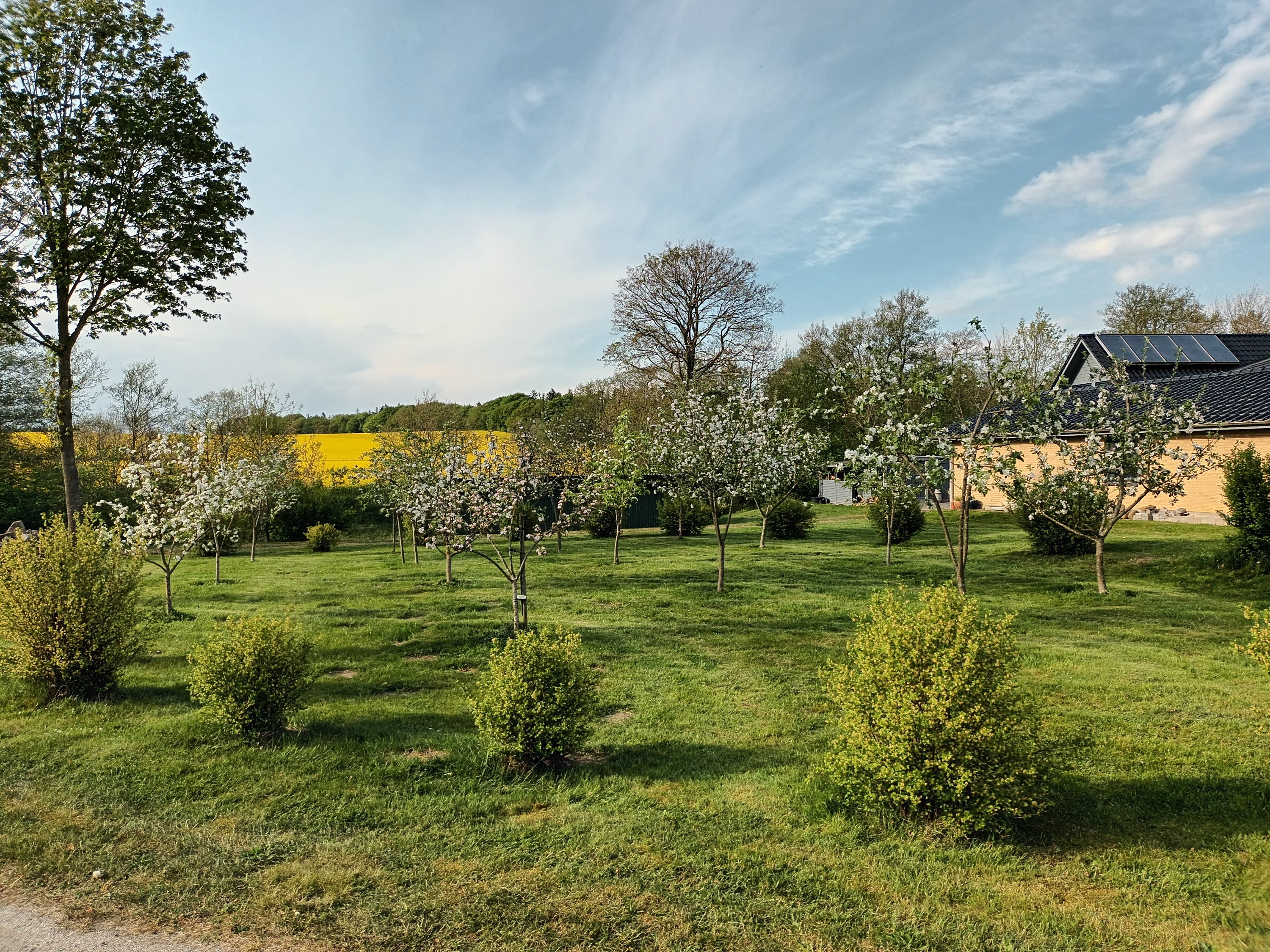 Fremhævet  billede i fuldskærmstilstand. Billede af Allinggårdsvej 103, 8600 Silkeborg
