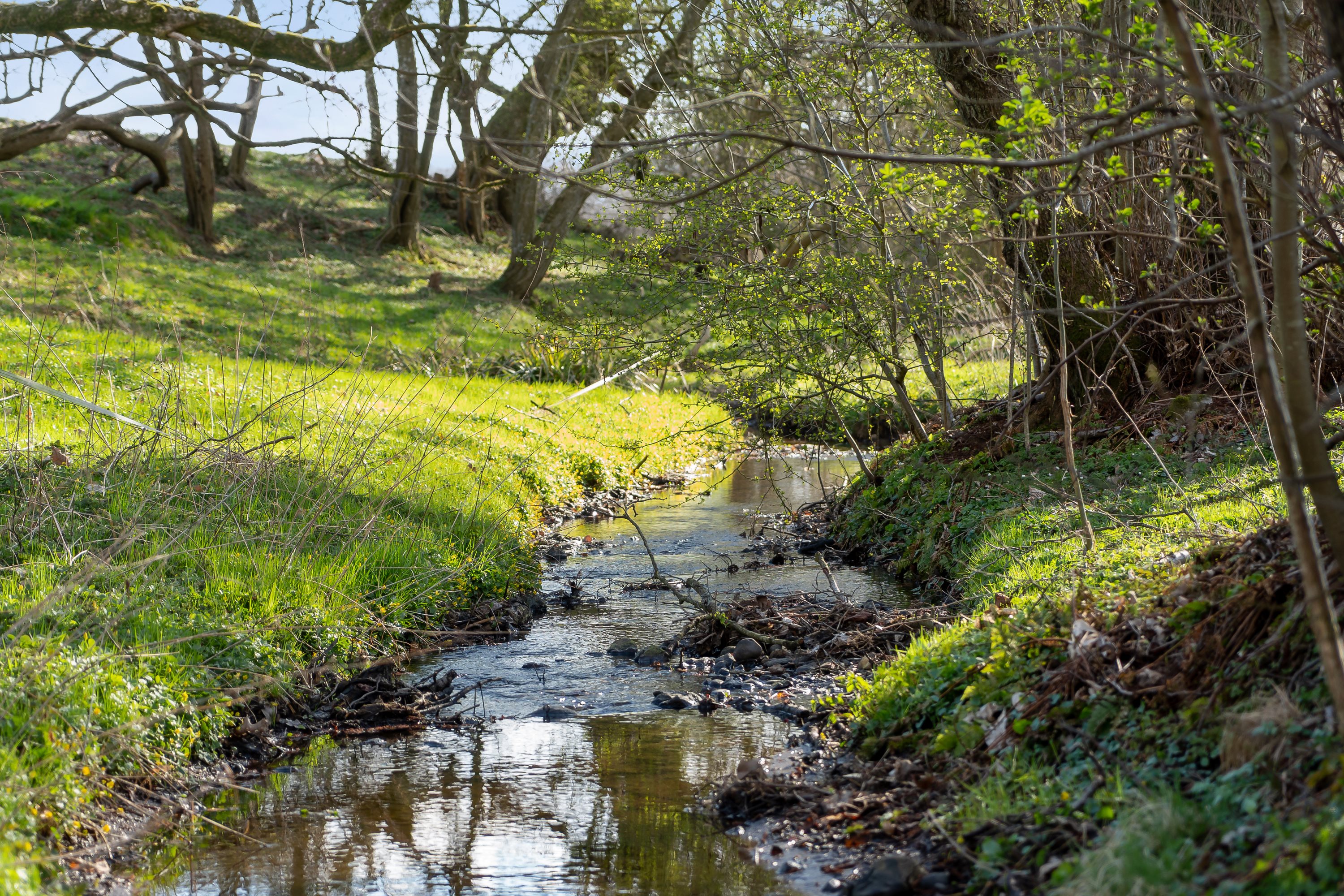 Miniaturebillede 2: . Billede af Allinggårdsvej 103, 8600 Silkeborg