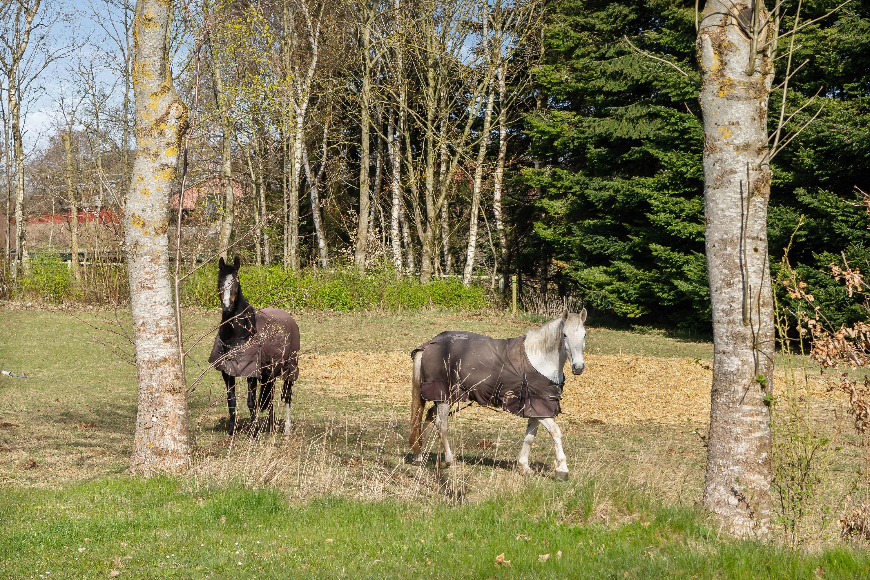 Fremhævet  billede i fuldskærmstilstand. Billede af Allinggårdsvej 103, 8600 Silkeborg