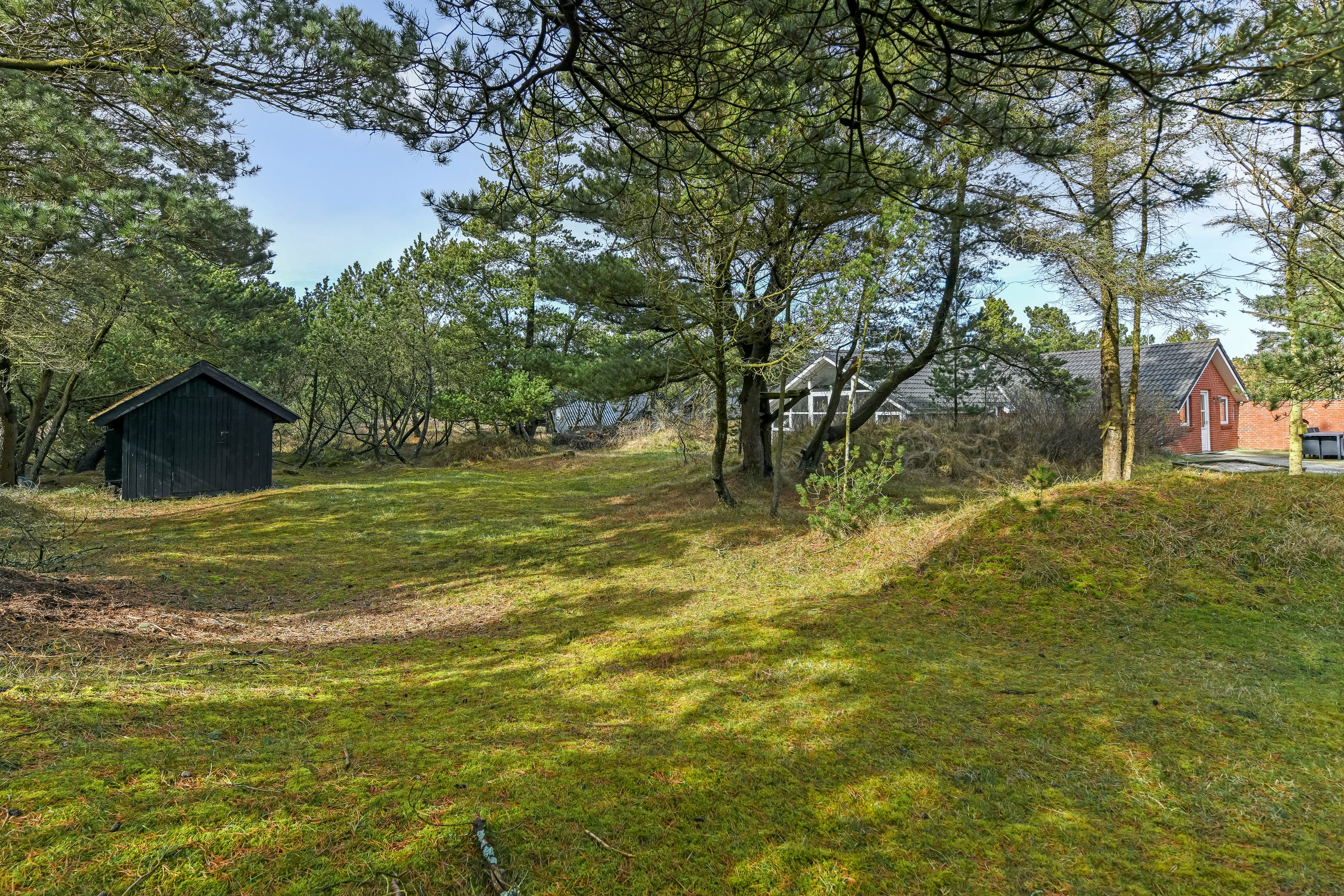 Miniaturebillede 1: have. Billede af Bjergvej 24, 6857 Blåvand