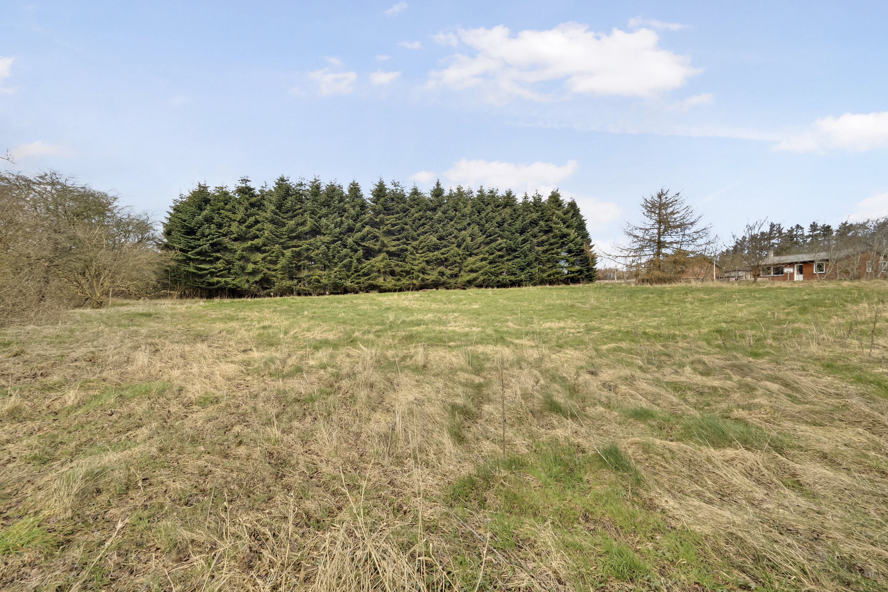 Miniaturebillede 1: have. Billede af Trapsandevej 45, Vang, 7700 Thisted