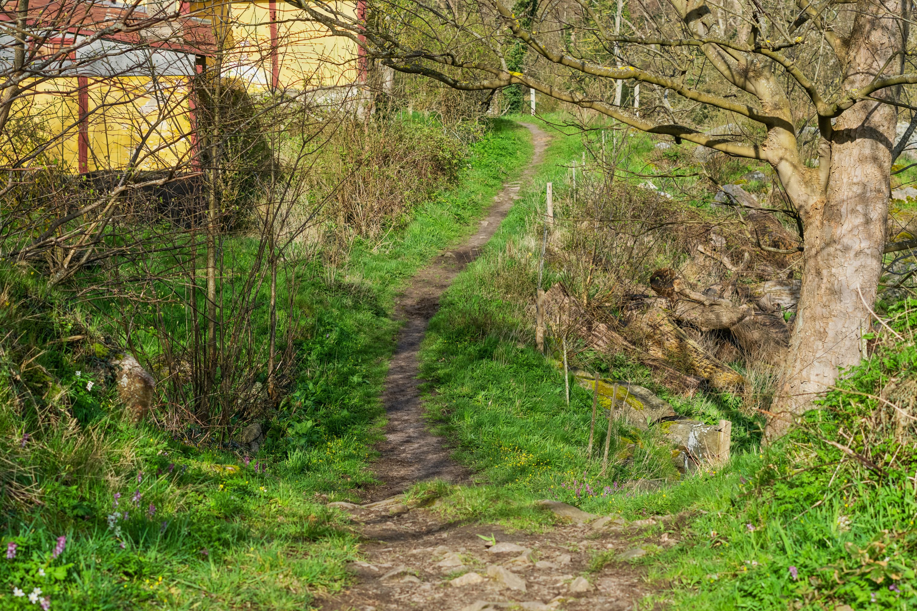 Fremhævet udendørs billede i fuldskærmstilstand. Billede af Randkløvevej 28, Saltuna, 3751 Østermarie