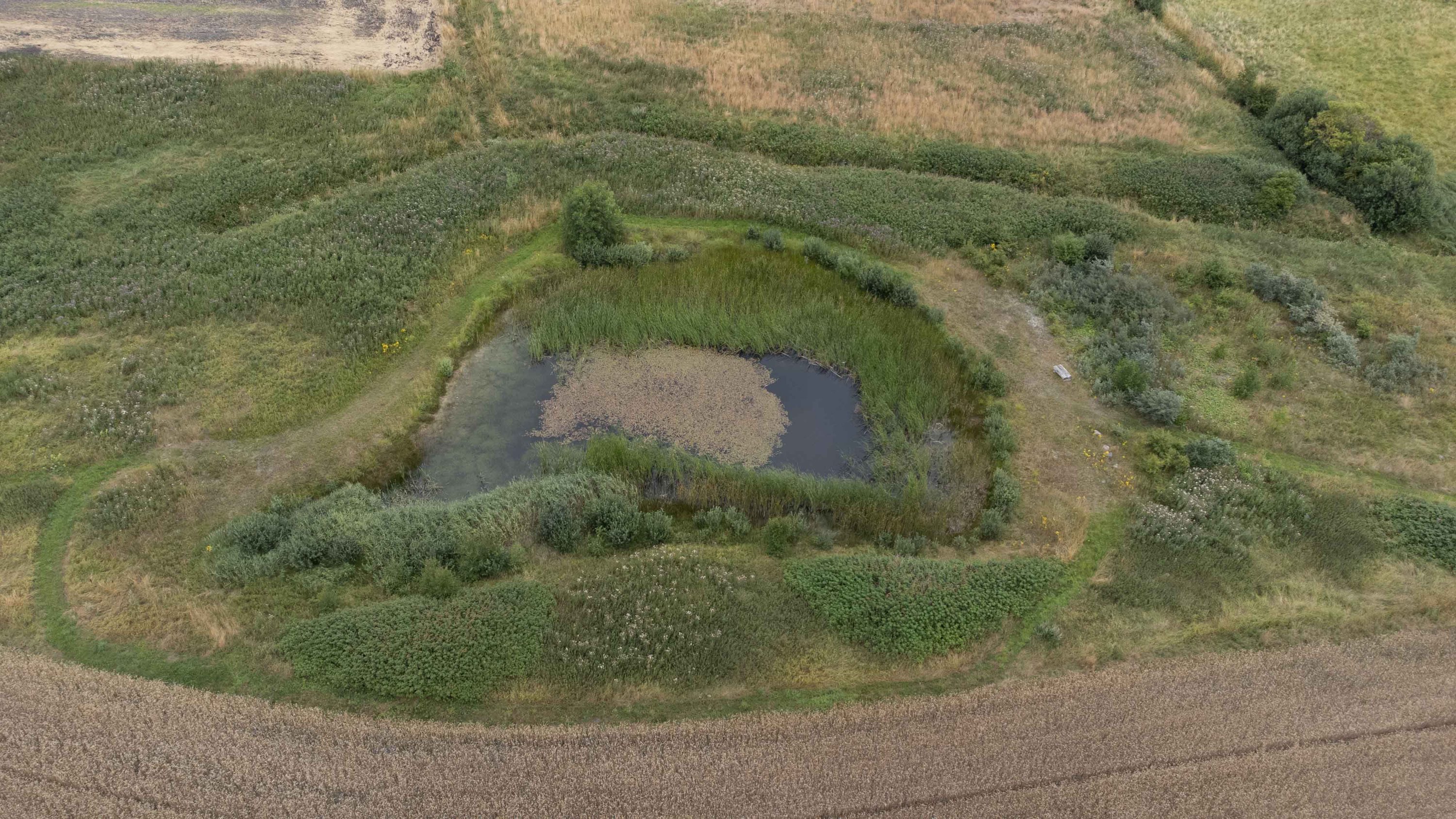 Fremhævet  billede i fuldskærmstilstand. Billede af Hovedvejen 16, Mastrup, 8500 Grenaa