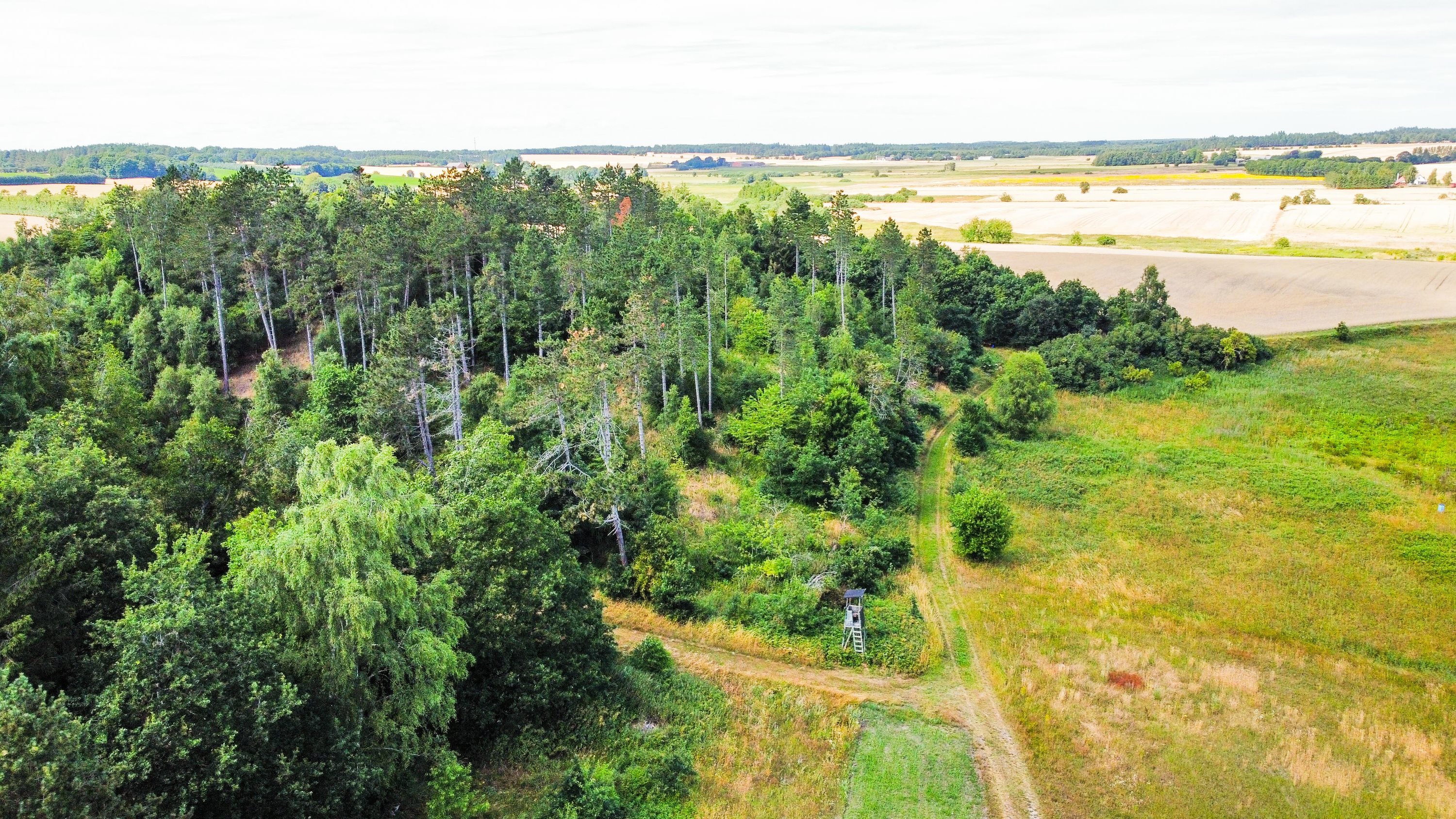 Fremhævet  billede i fuldskærmstilstand. Billede af Hovedvejen 16, Mastrup, 8500 Grenaa