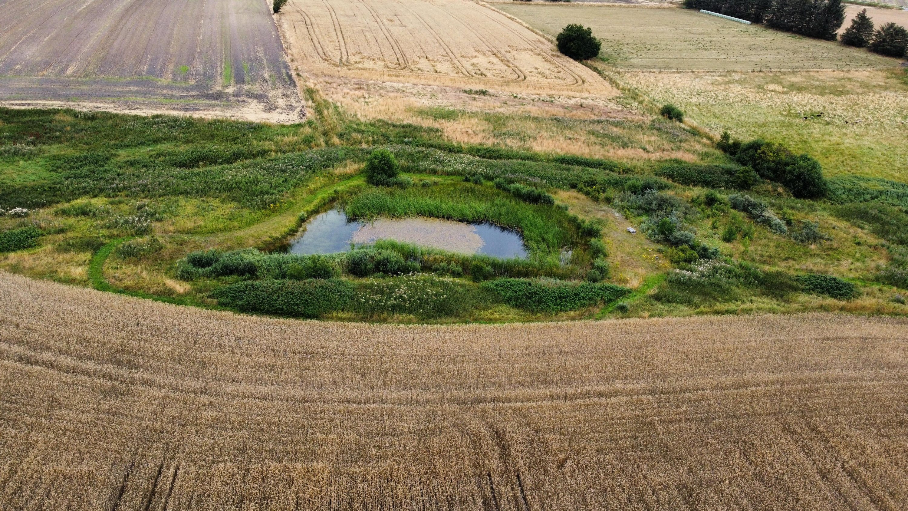 Fremhævet  billede i fuldskærmstilstand. Billede af Hovedvejen 16, Mastrup, 8500 Grenaa