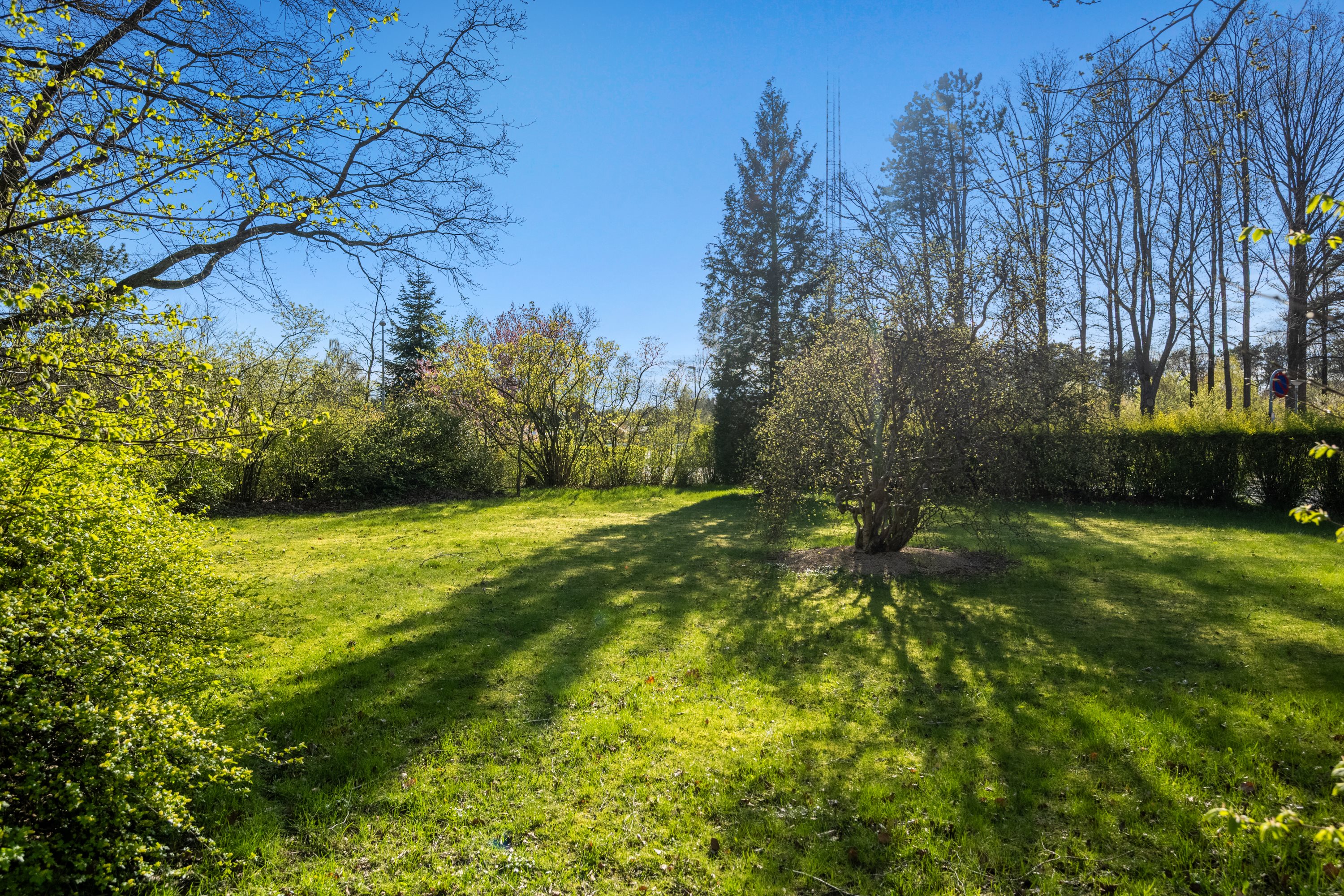 Miniaturebillede 1: grund. Billede af Brunmosevej 12, Pindstrup, 8550 Ryomgård