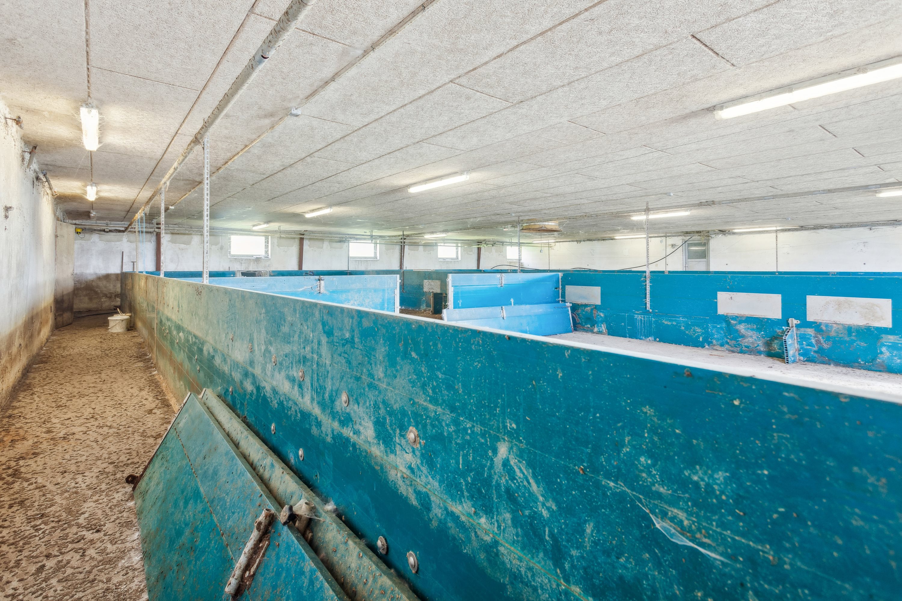 Fremhævet andet billede i fuldskærmstilstand. Billede af Øksenhøjvej 19, Lime, 8544 Mørke