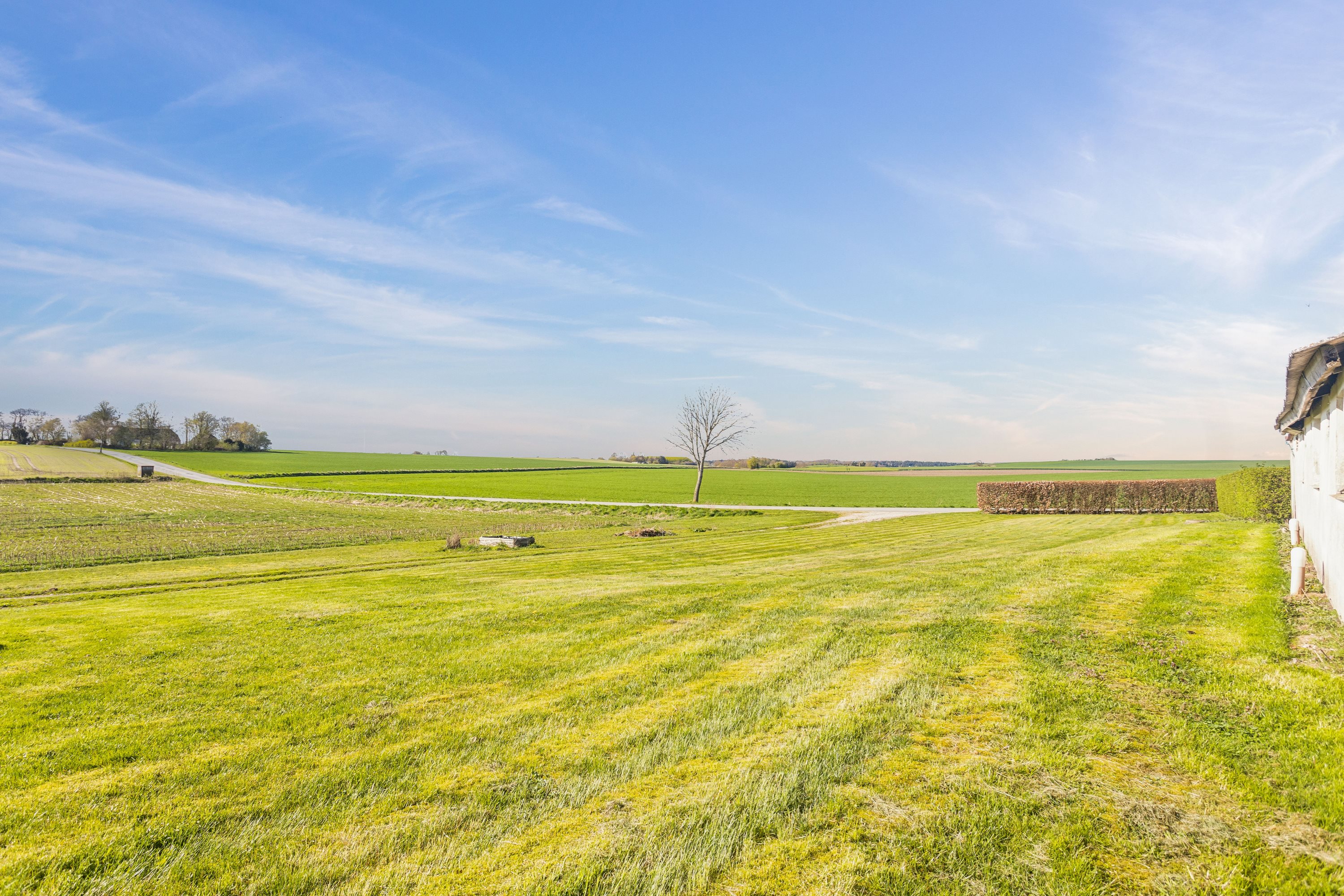 Miniaturebillede 1: have. Billede af Øksenhøjvej 19, Lime, 8544 Mørke