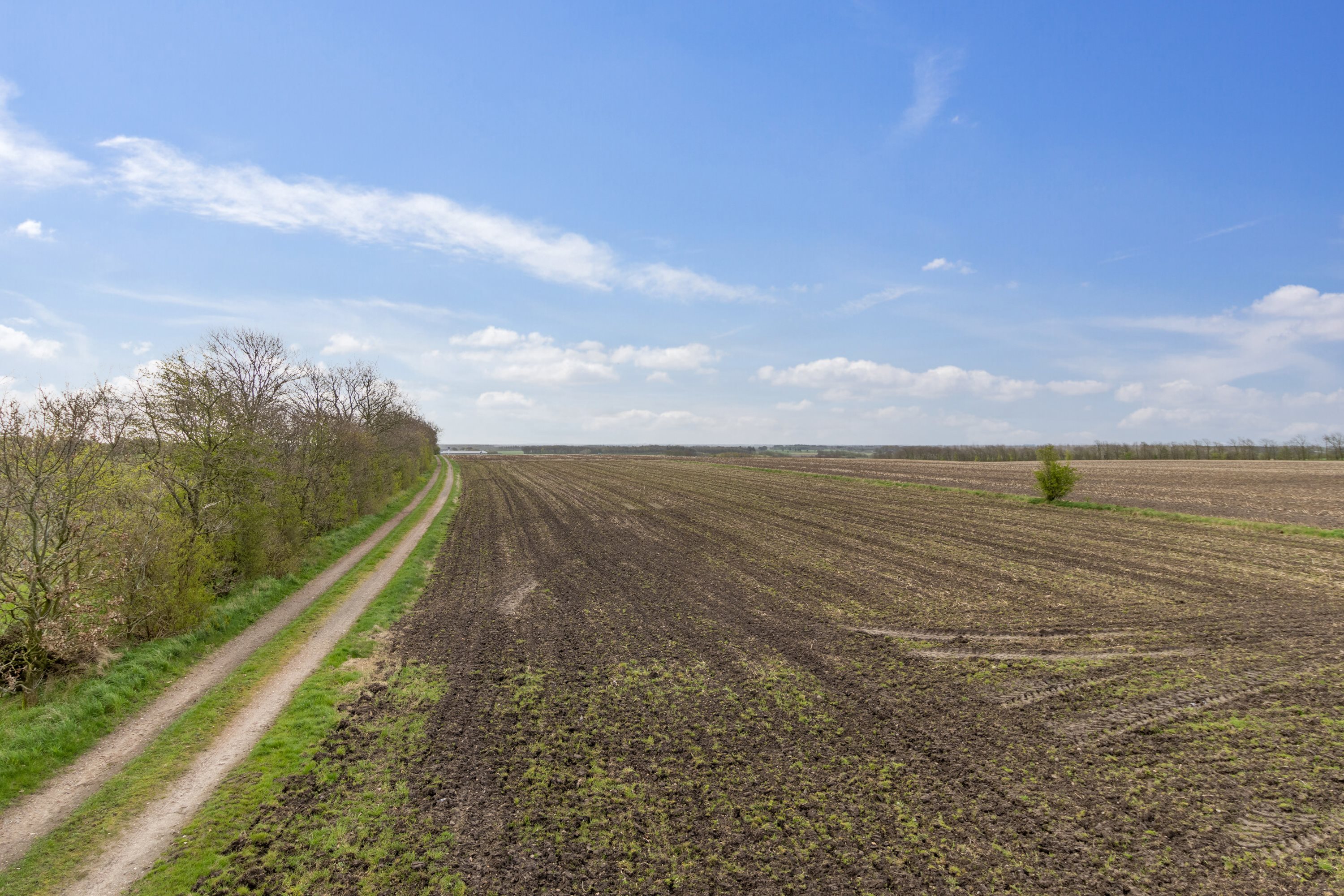 Fremhævet grund billede i fuldskærmstilstand. Billede af Plougstrupvej 36, Jernvedlund, 6771 Gredstedbro