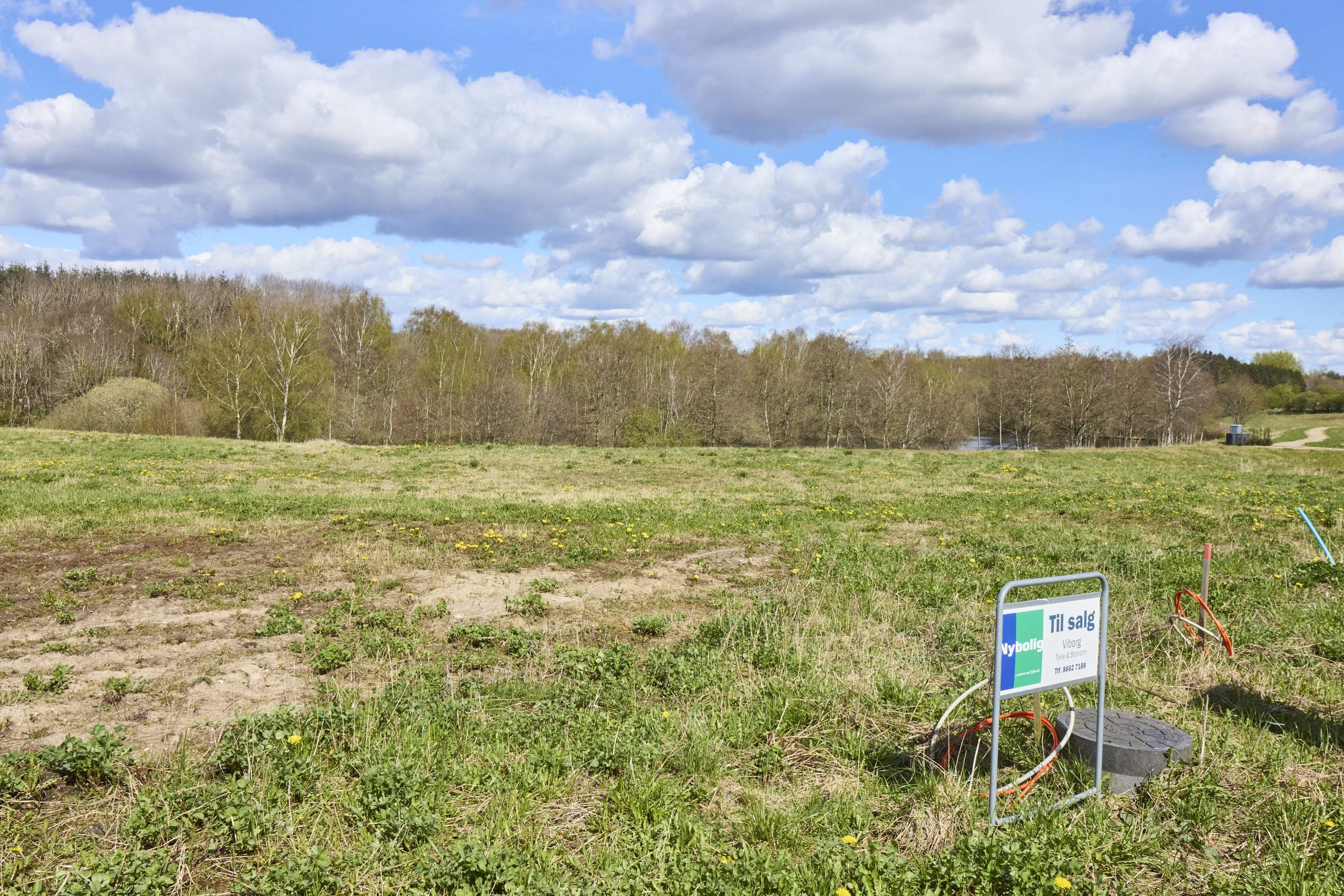 Fremhævet  billede i fuldskærmstilstand. Billede af Tørven 5, 8800 Viborg