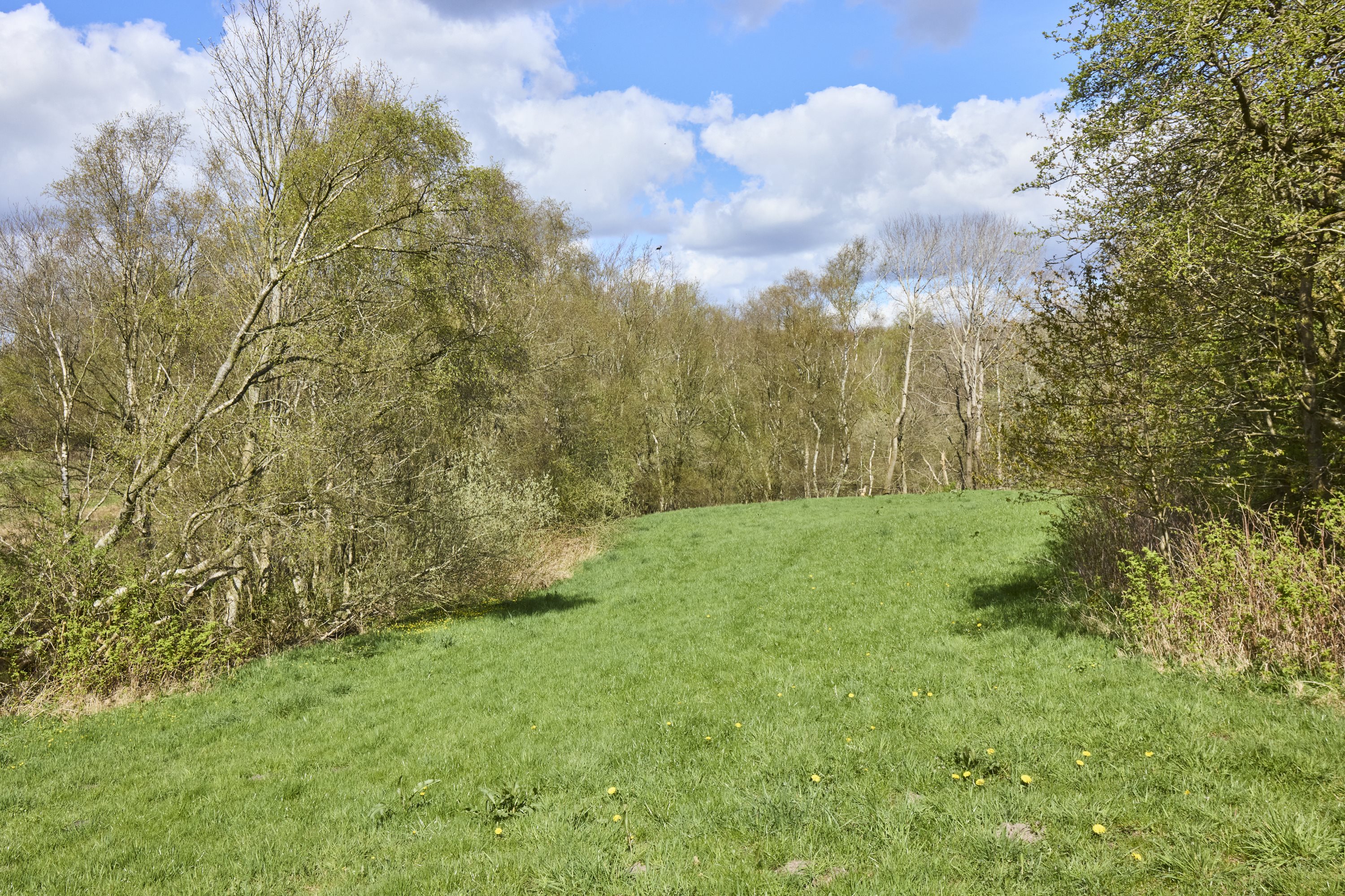 Miniaturebillede 2: . Billede af Tørven 5, 8800 Viborg