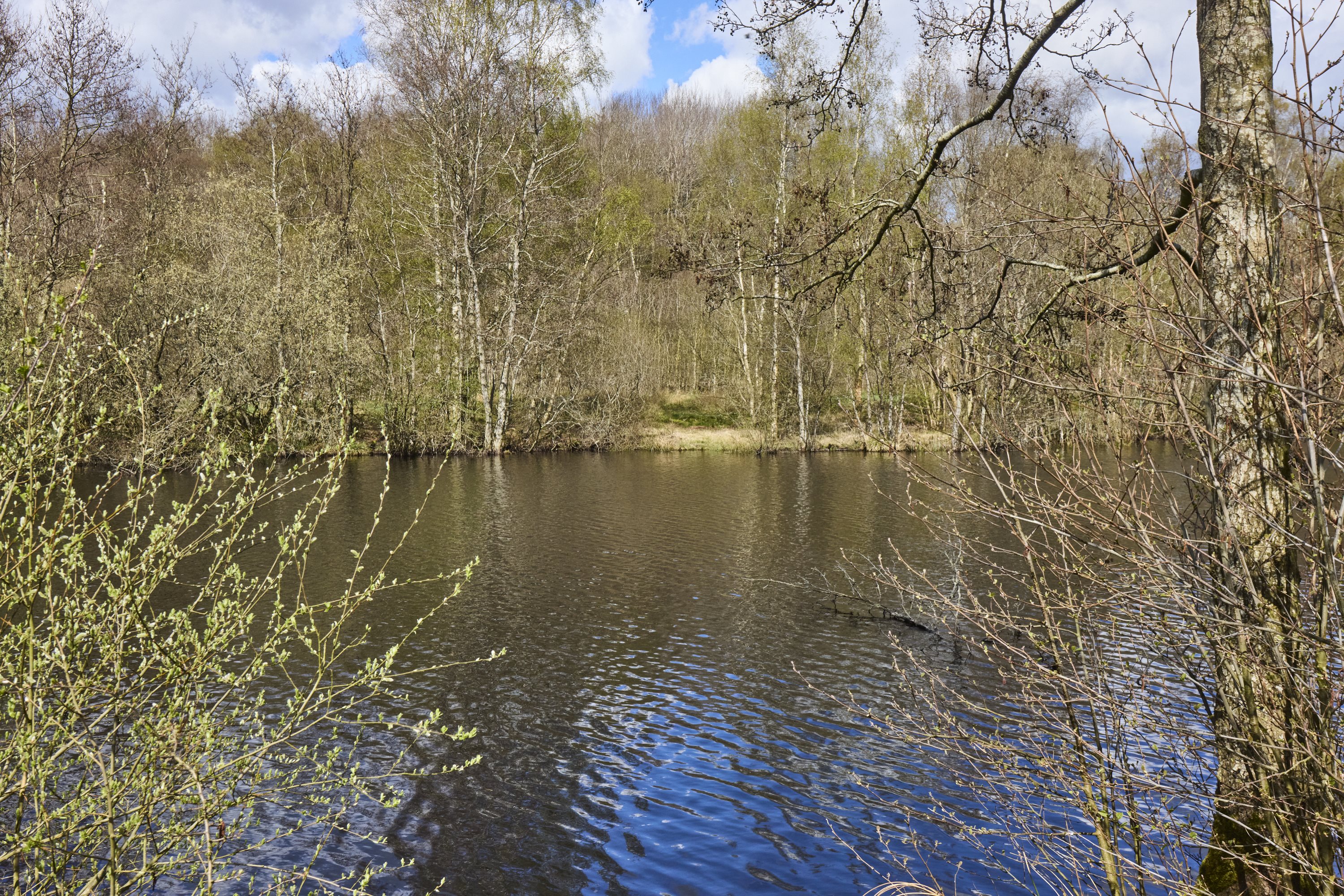 Fremhævet  billede i fuldskærmstilstand. Billede af Tørven 5, 8800 Viborg