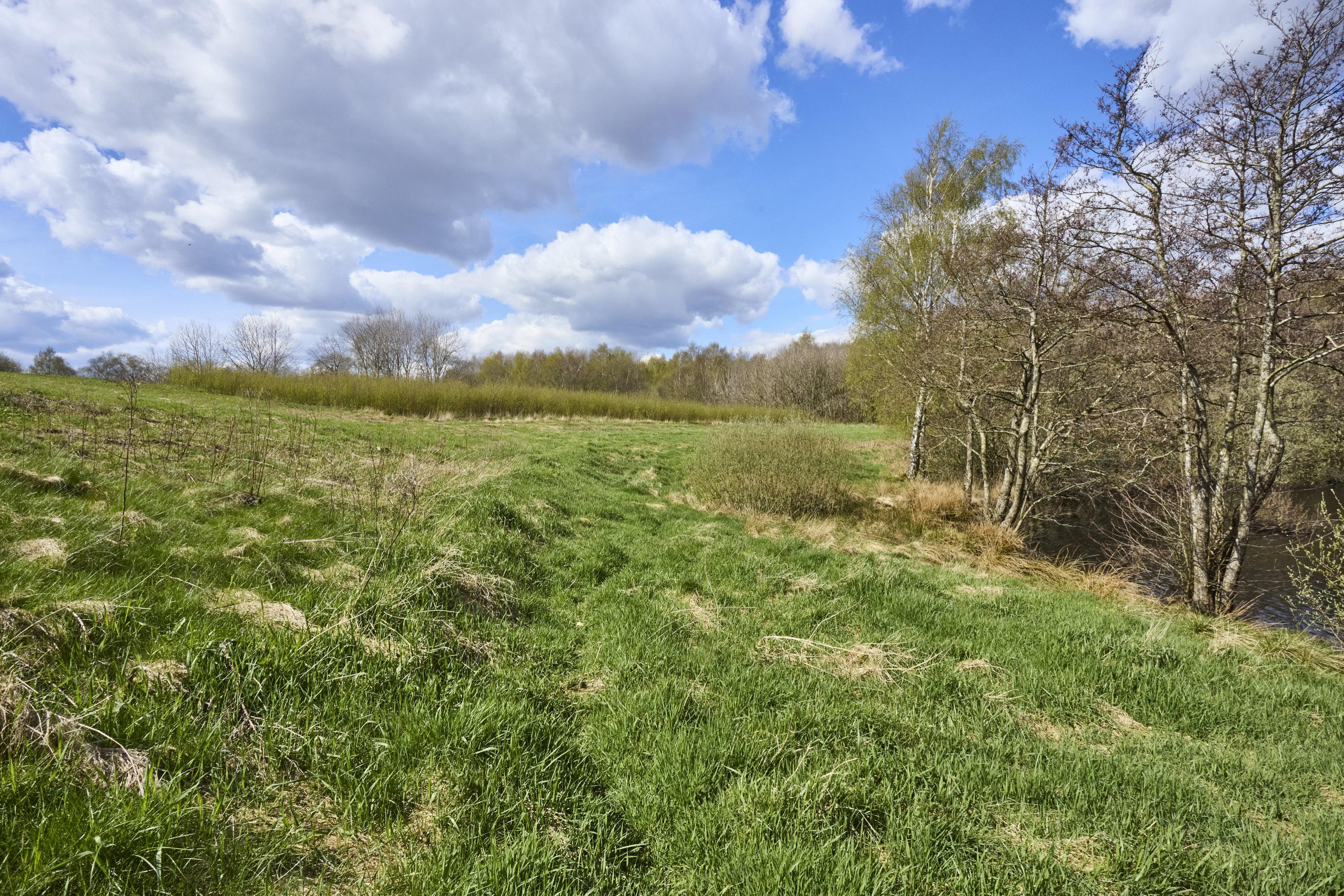 Fremhævet  billede i fuldskærmstilstand. Billede af Tørven 5, 8800 Viborg