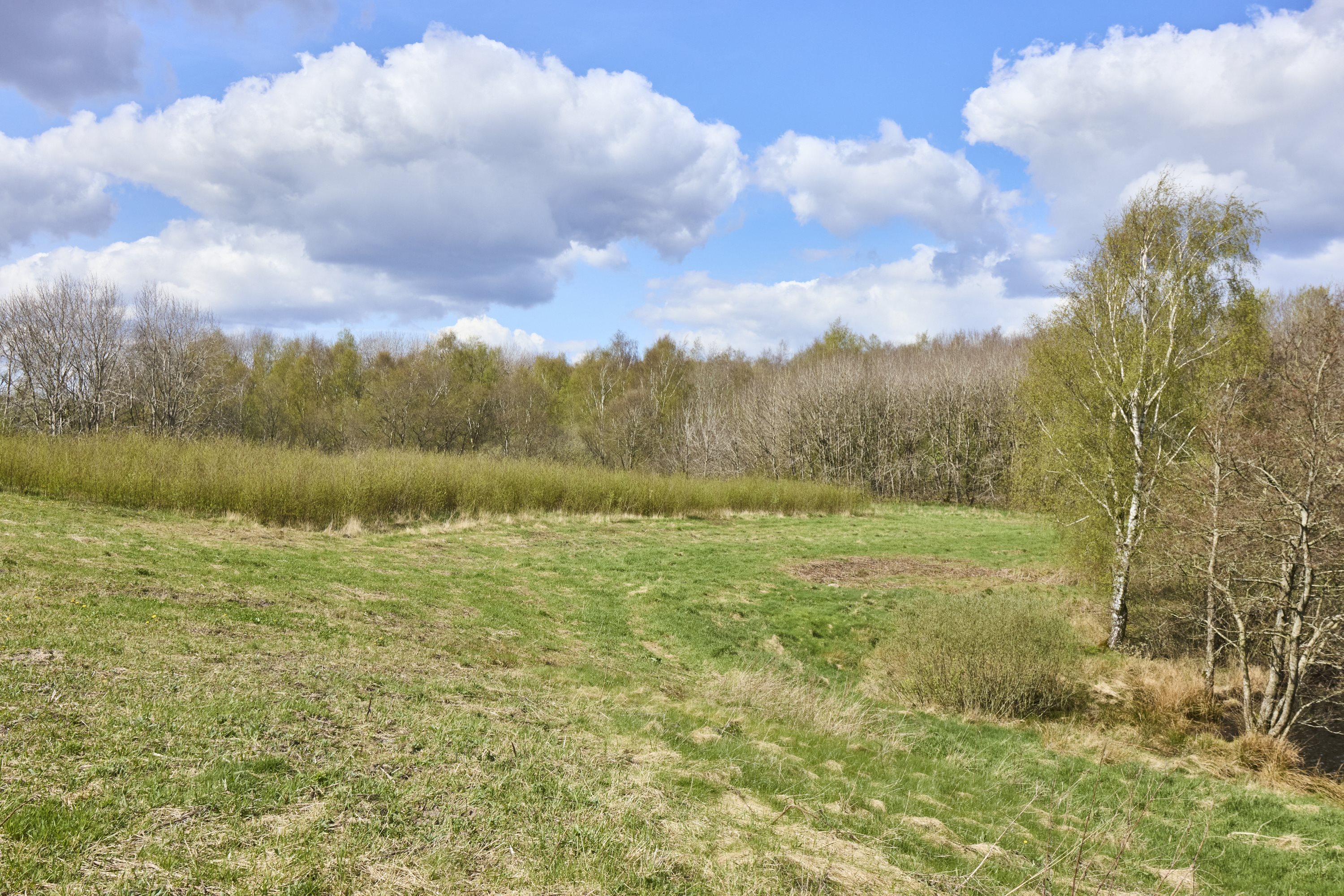 Fremhævet  billede i fuldskærmstilstand. Billede af Tørven 5, 8800 Viborg