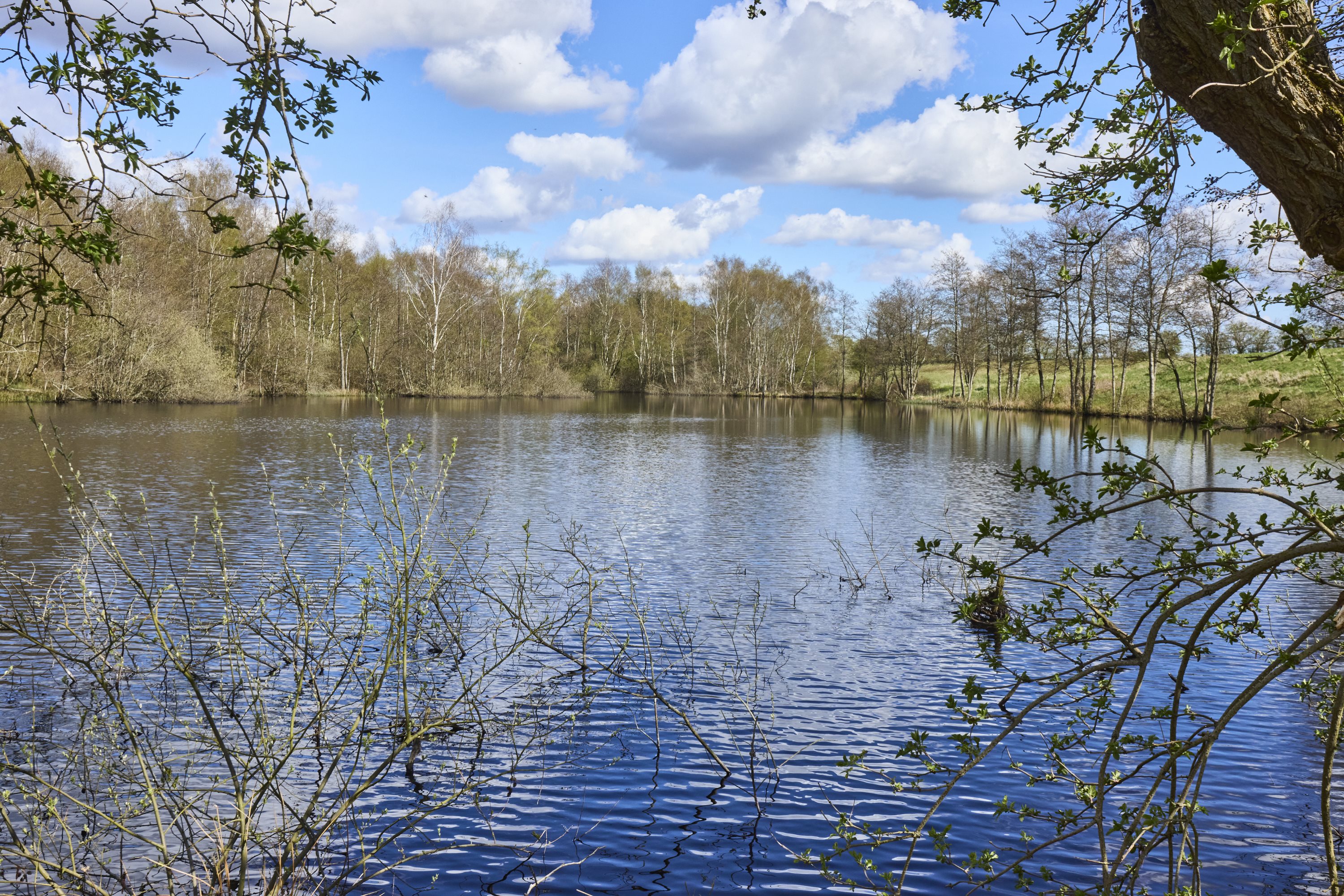 Fremhævet  billede i fuldskærmstilstand. Billede af Tørven 5, 8800 Viborg