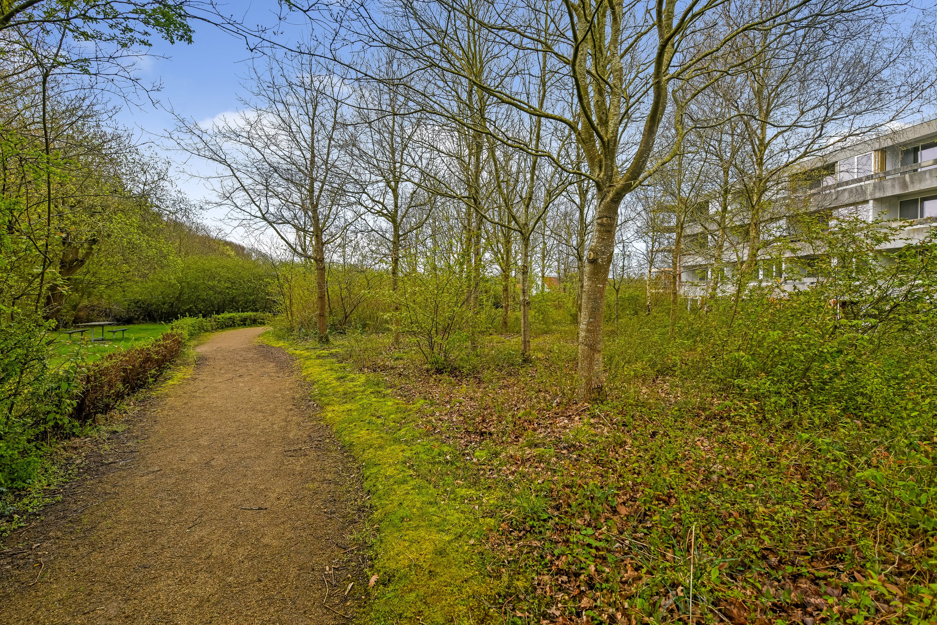 Fremhævet have billede i fuldskærmstilstand. Billede af Granly Alle 5D, 2. tv., 6710 Esbjerg V