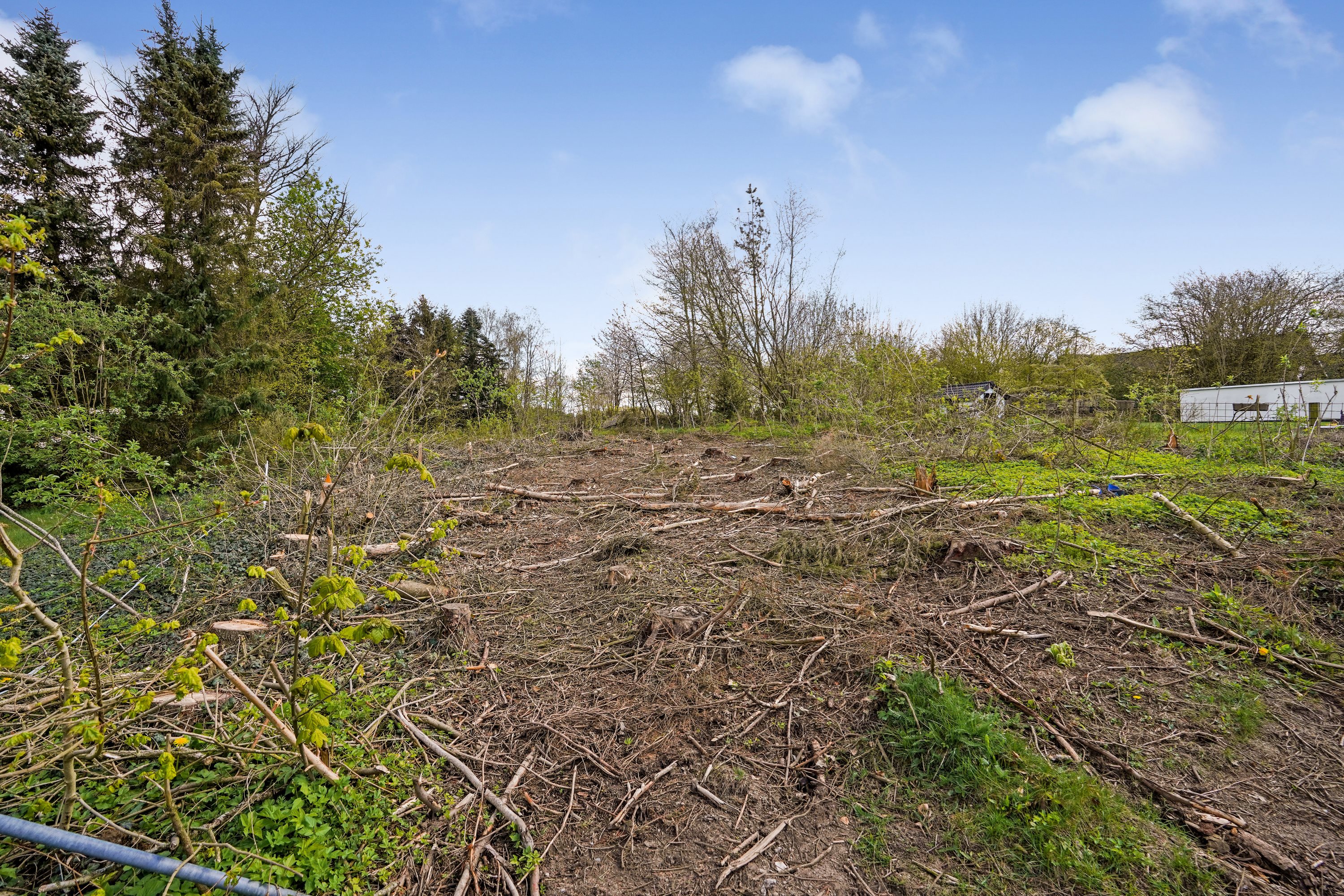 Fremhævet have billede i fuldskærmstilstand. Billede af Sattrupvej 16A, Sattrup, 8752 Østbirk