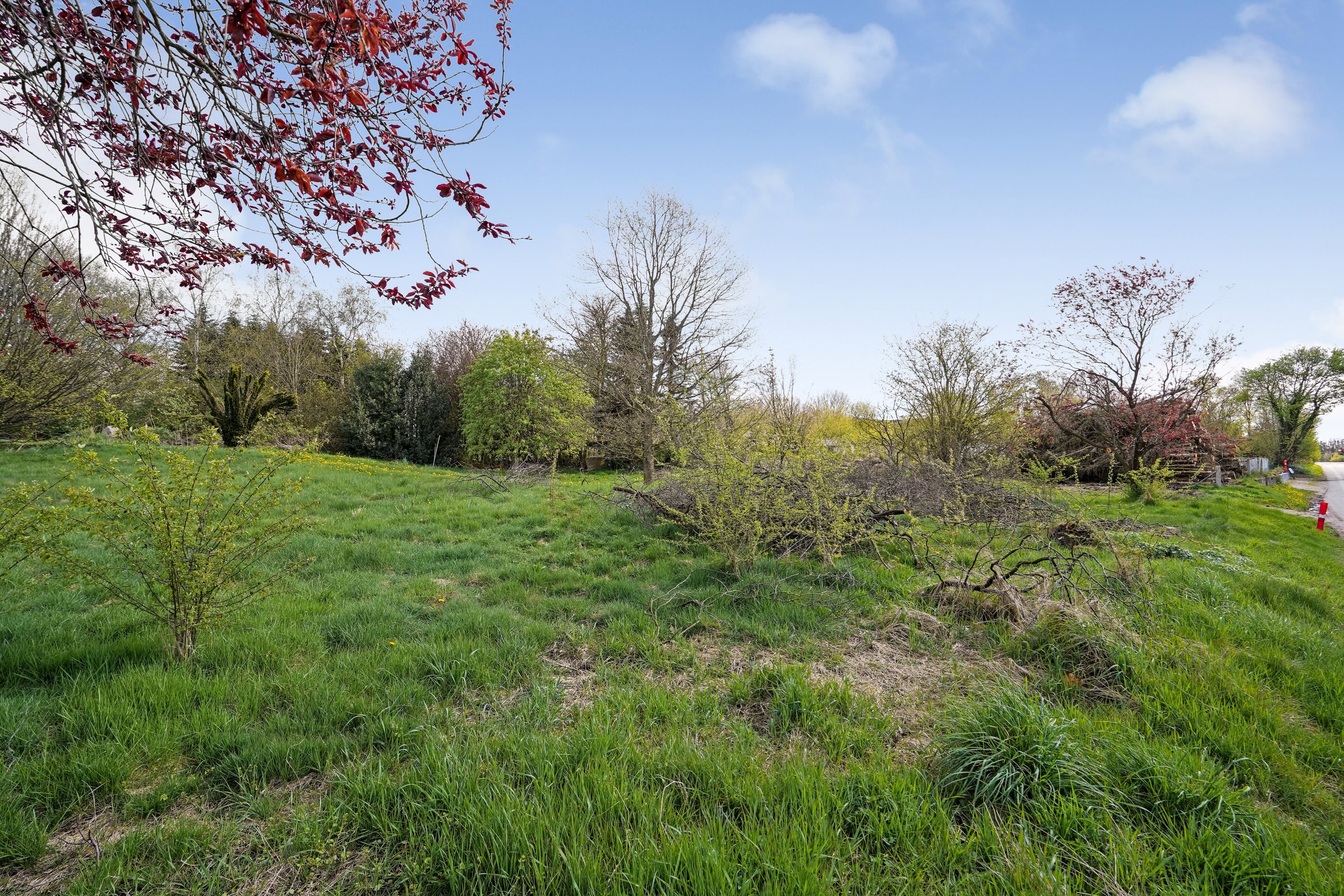 Miniaturebillede 1: have. Billede af Sattrupvej 16A, Sattrup, 8752 Østbirk