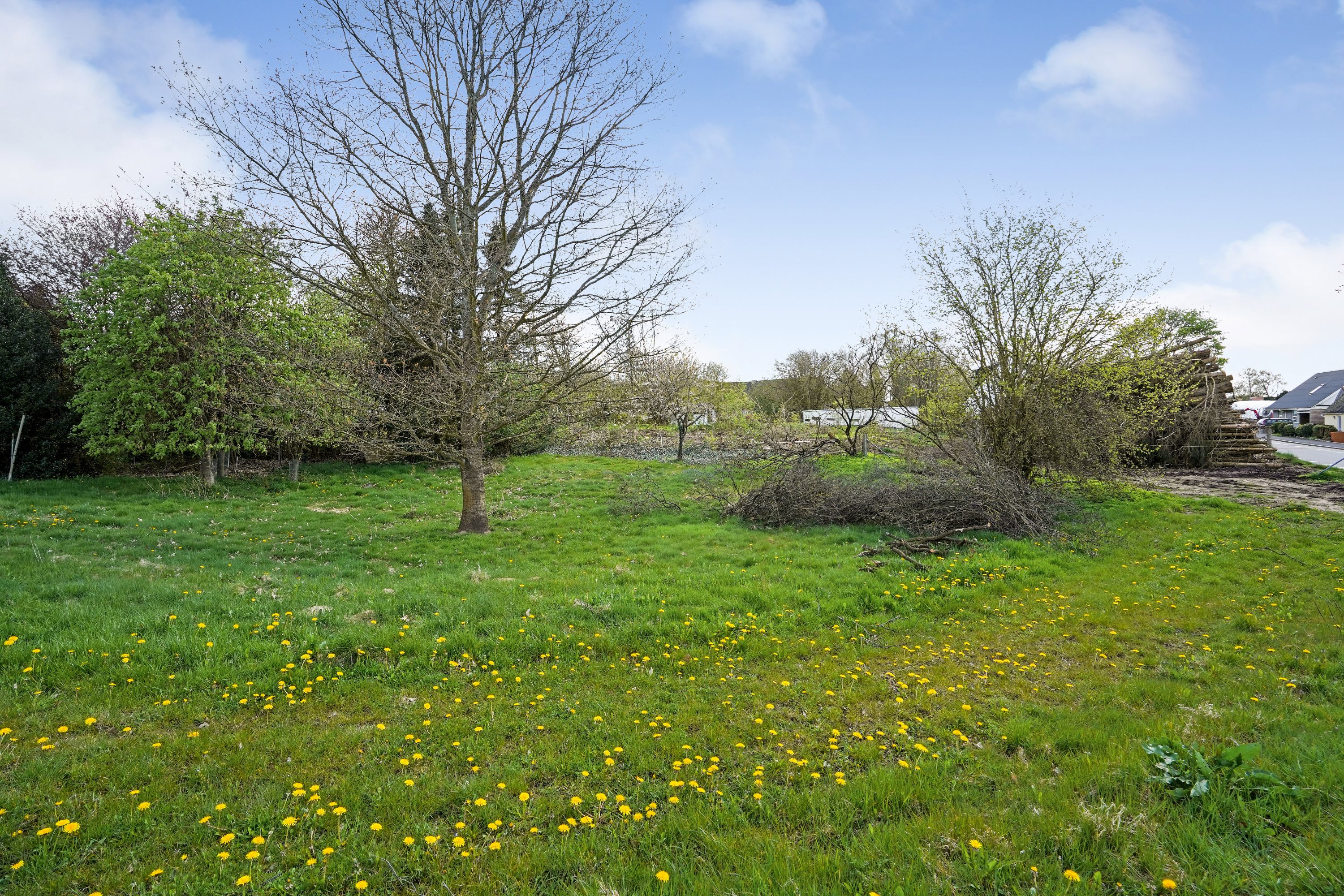 Fremhævet have billede i fuldskærmstilstand. Billede af Sattrupvej 16A, Sattrup, 8752 Østbirk