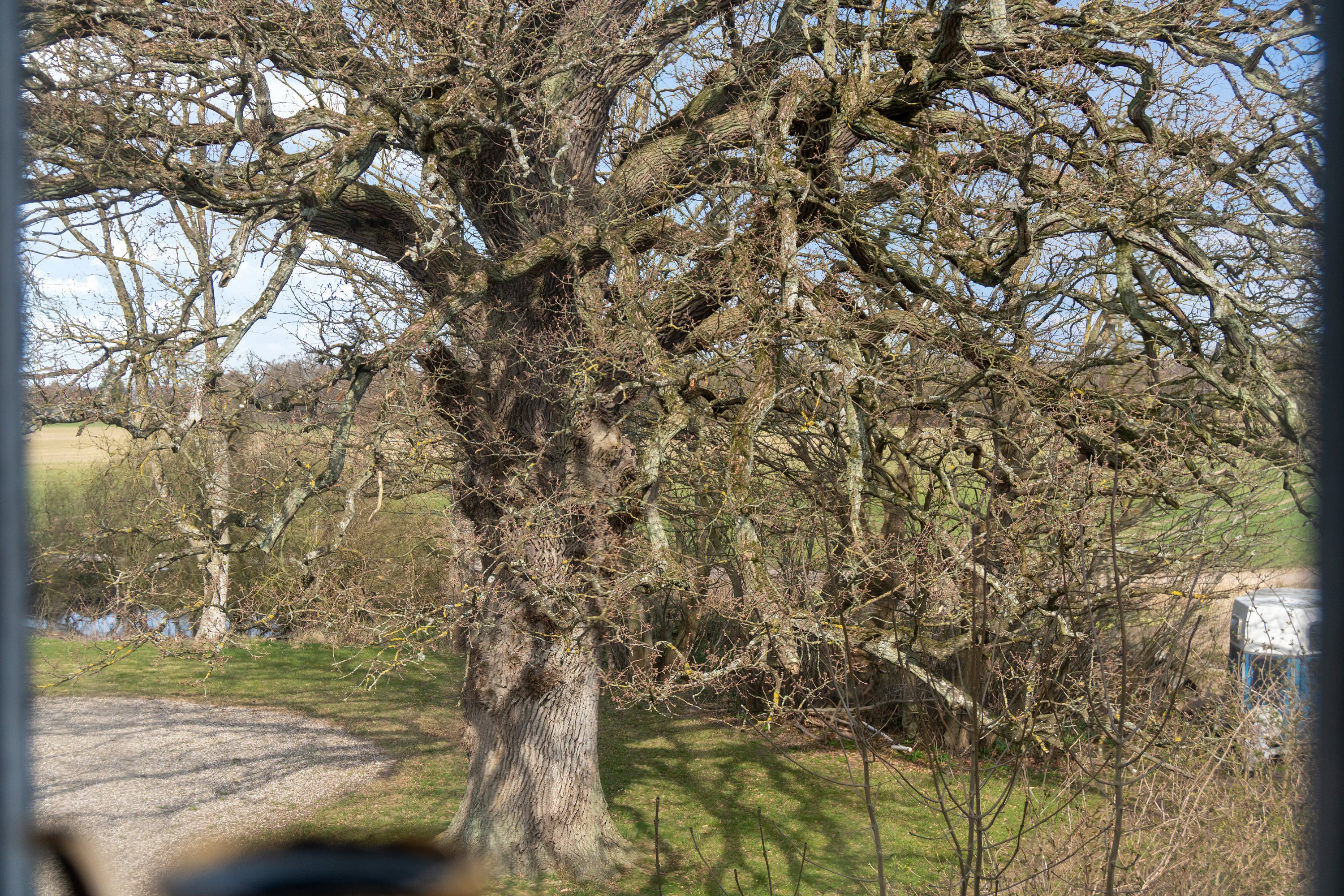 Fremhævet udendørs billede i fuldskærmstilstand. Billede af Christinelundsvej 36, 4720 Præstø