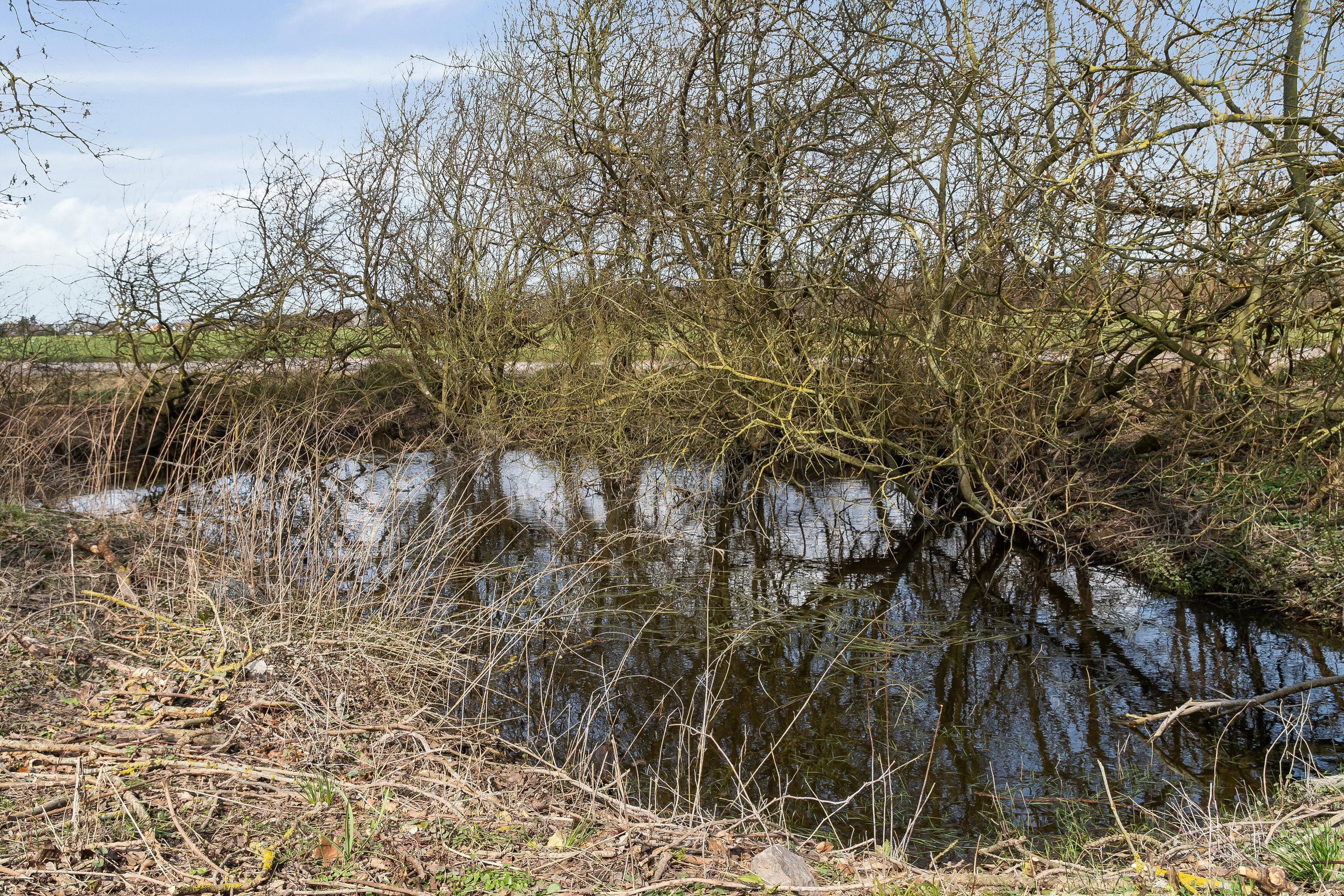 Fremhævet udendørs billede i fuldskærmstilstand. Billede af Christinelundsvej 36, 4720 Præstø