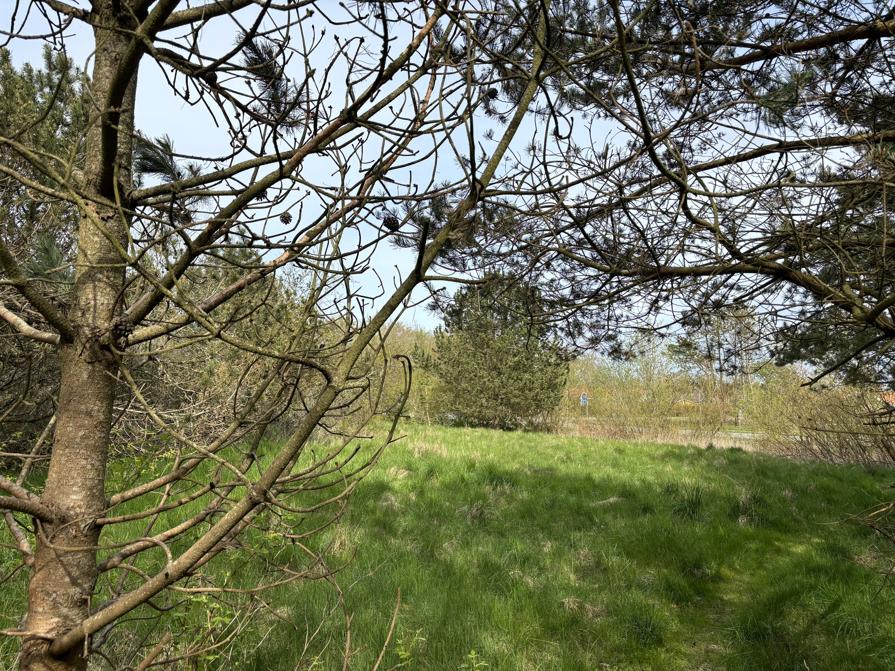 Miniaturebillede 1: . Billede af Lyngtoftegård 19, Hou, 9370 Hals