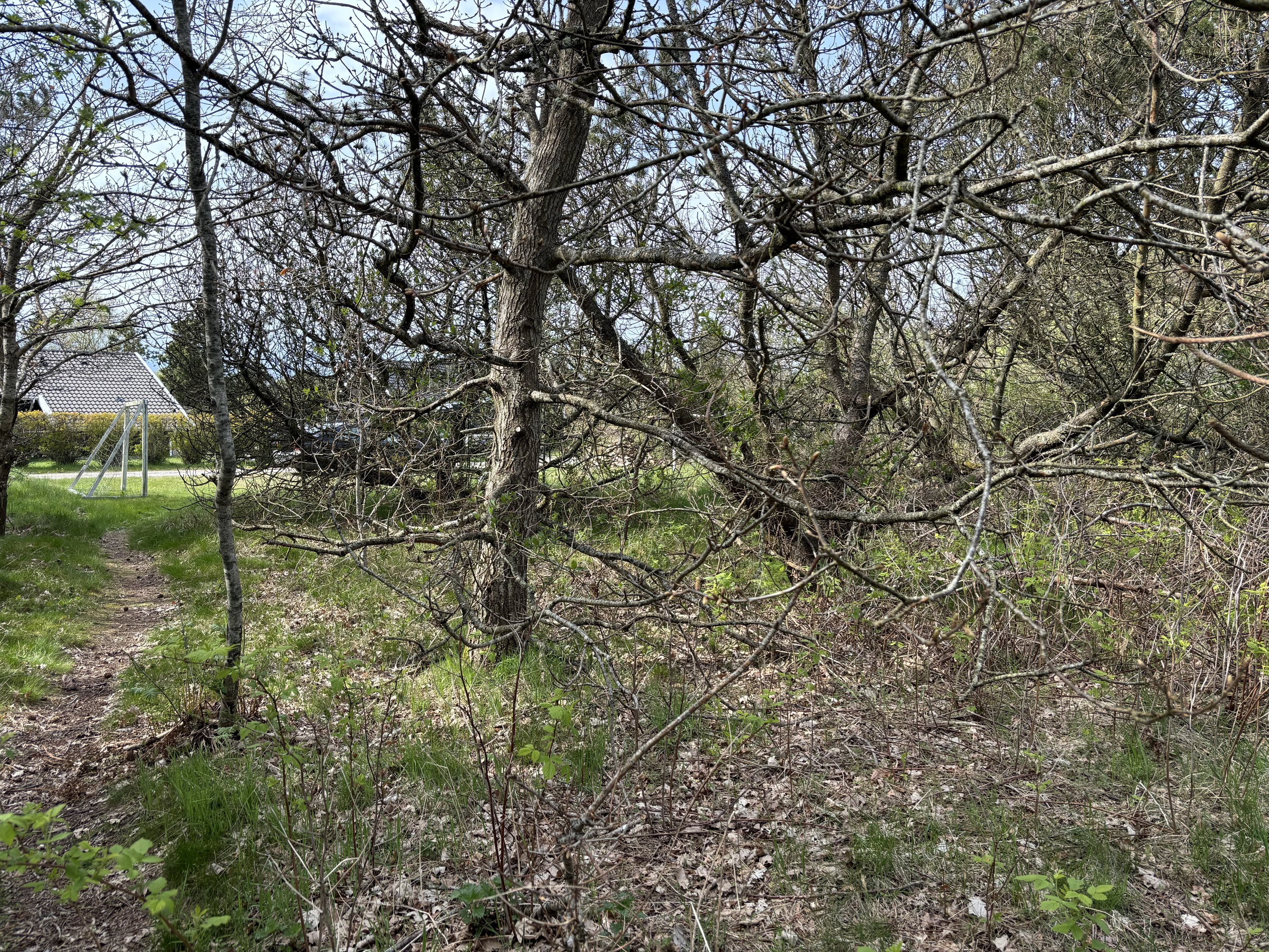 Miniaturebillede 2: . Billede af Lyngtoftegård 19, Hou, 9370 Hals