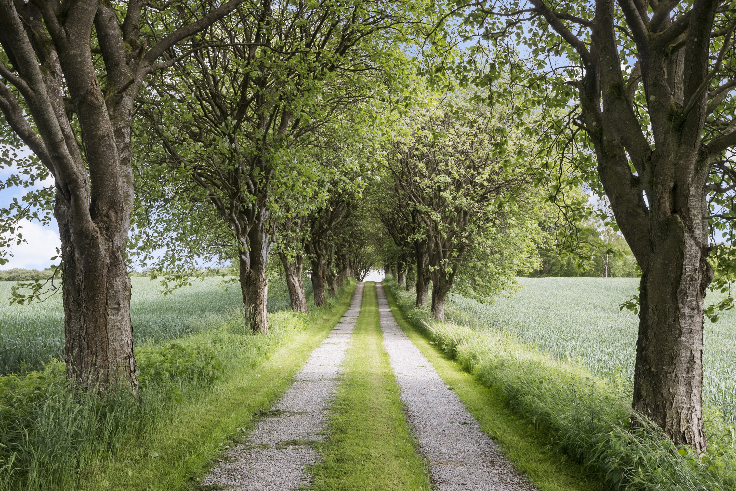 Fremhævet  billede i fuldskærmstilstand. Billede af Vestermarksvej 3, Sdr Vissing, 8740 Brædstrup
