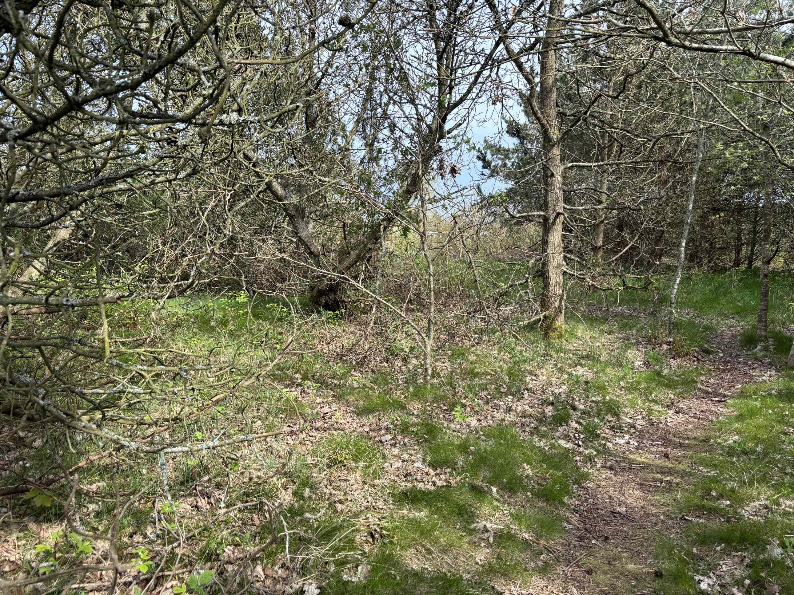 Fremhævet  billede i fuldskærmstilstand. Billede af Lyngtoftegård 19, Hou, 9370 Hals