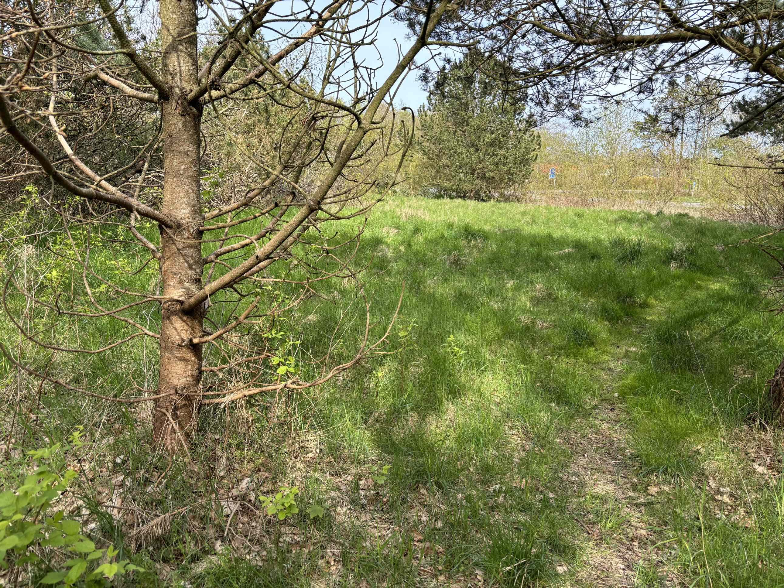 Fremhævet  billede i fuldskærmstilstand. Billede af Lyngtoftegård 19, Hou, 9370 Hals