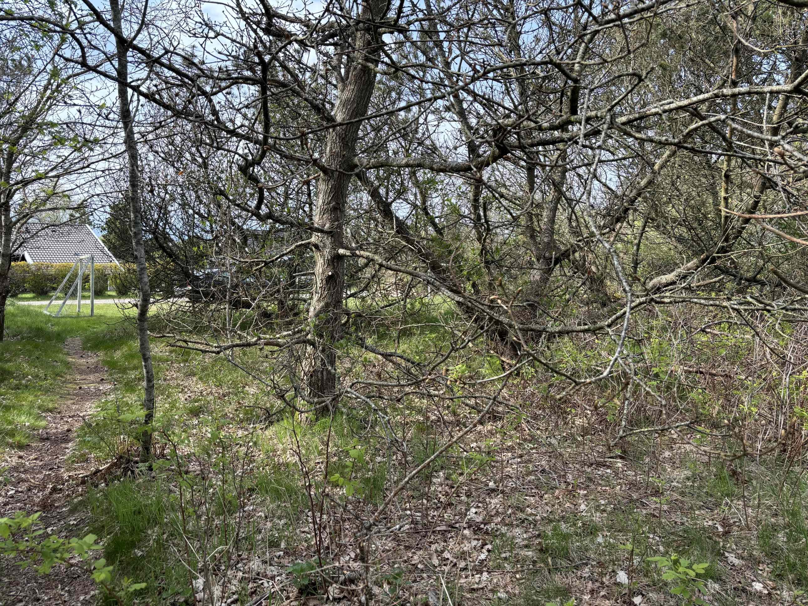 Fremhævet  billede i fuldskærmstilstand. Billede af Lyngtoftegård 19, Hou, 9370 Hals