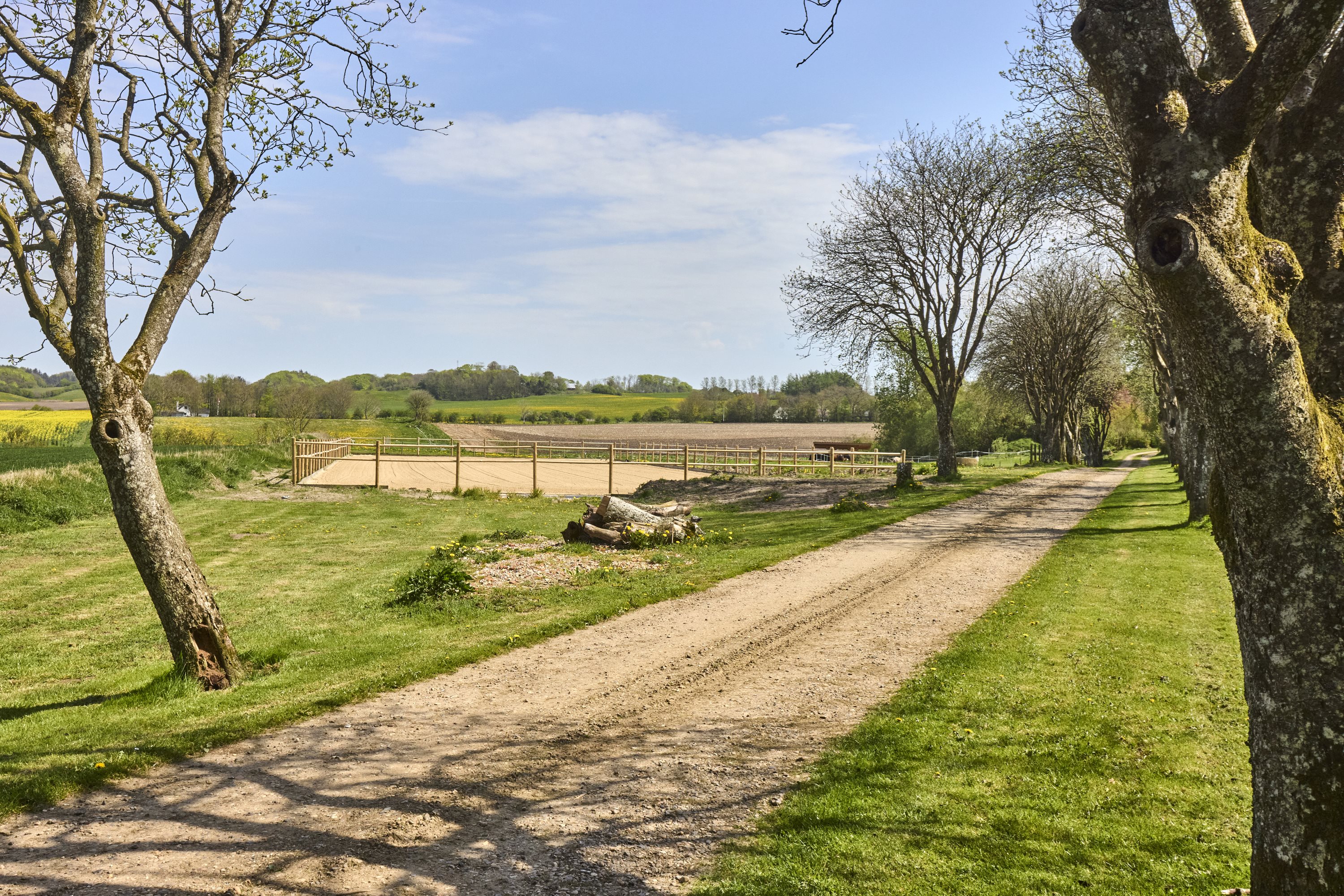 Fremhævet ejendommen billede i fuldskærmstilstand. Billede af Dåsbjergvej 48, Fly, 7800 Skive