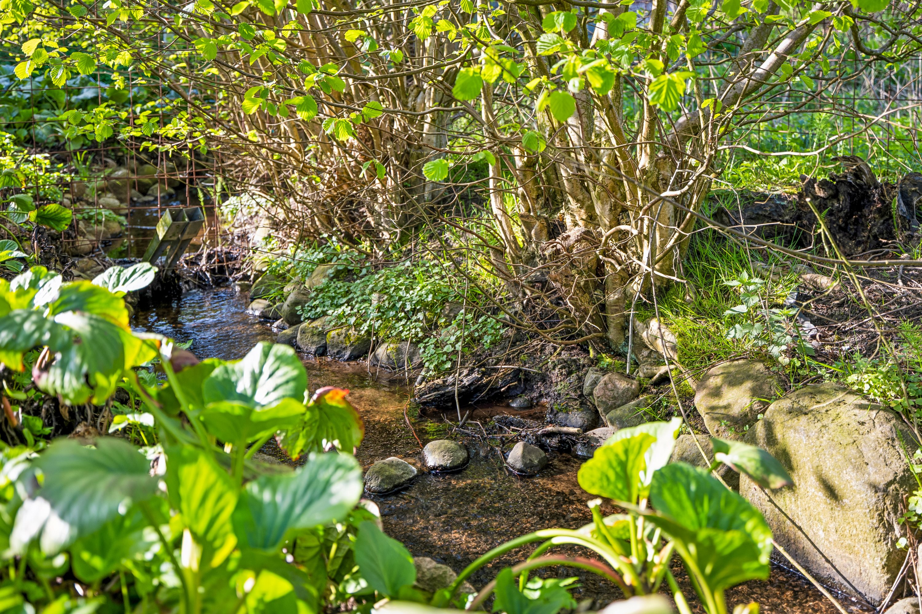 Fremhævet have billede i fuldskærmstilstand. Billede af Troldemoseled 4, Ålsbo, 5560 Aarup