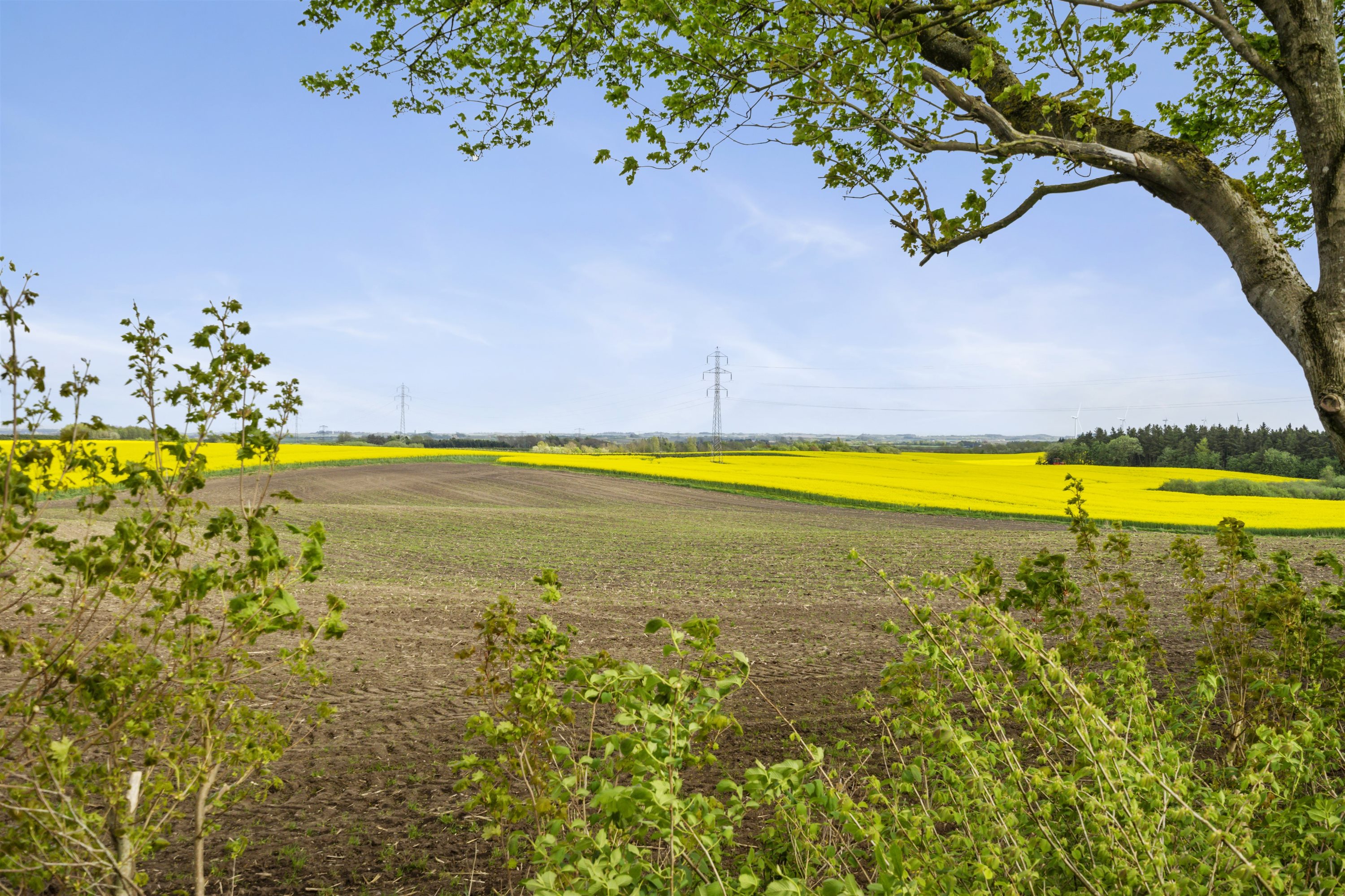 Miniaturebillede 2: område. Billede af Fladhøjvej 10, Giver, 9600 Aars