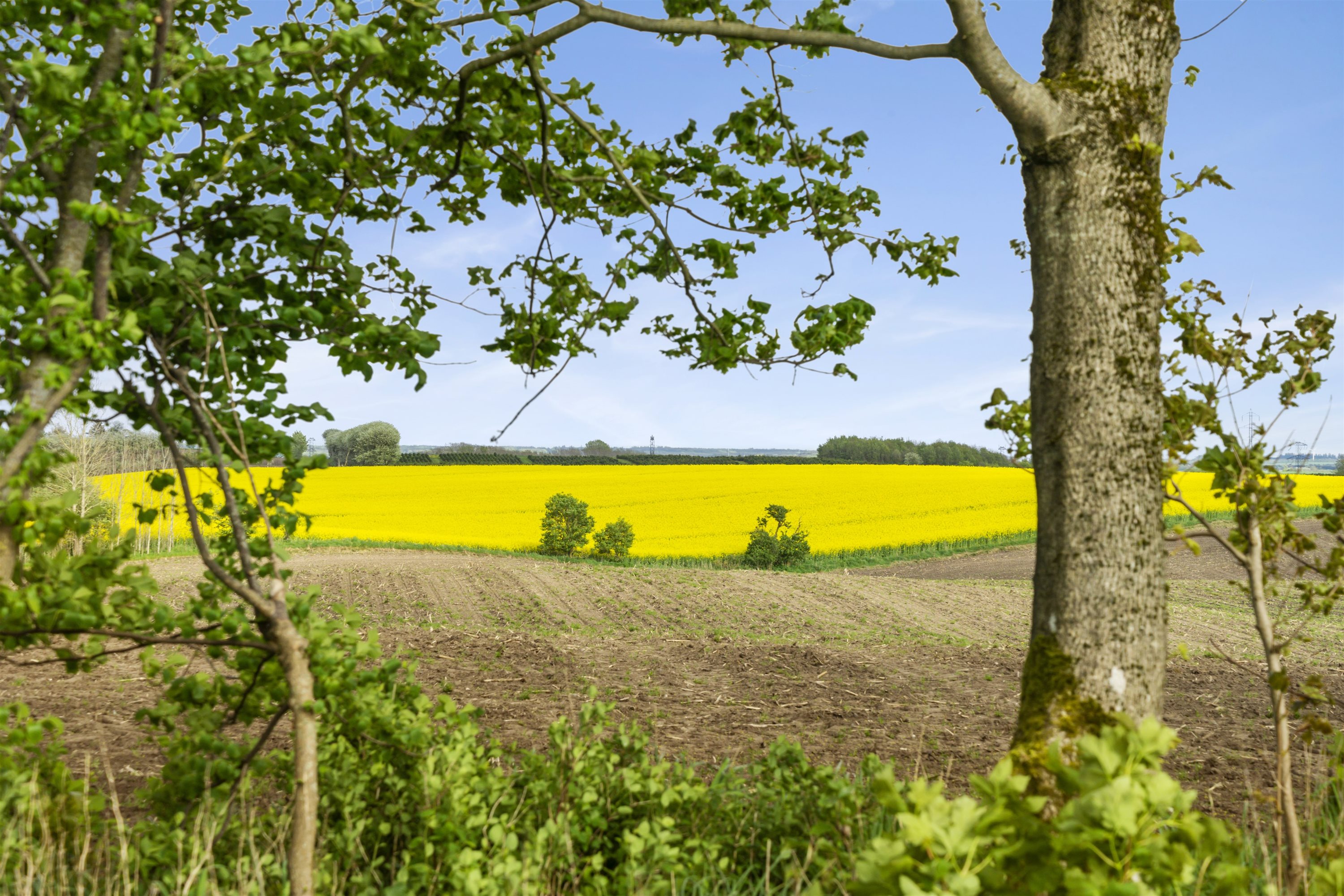 Fremhævet område billede i fuldskærmstilstand. Billede af Fladhøjvej 10, Giver, 9600 Aars