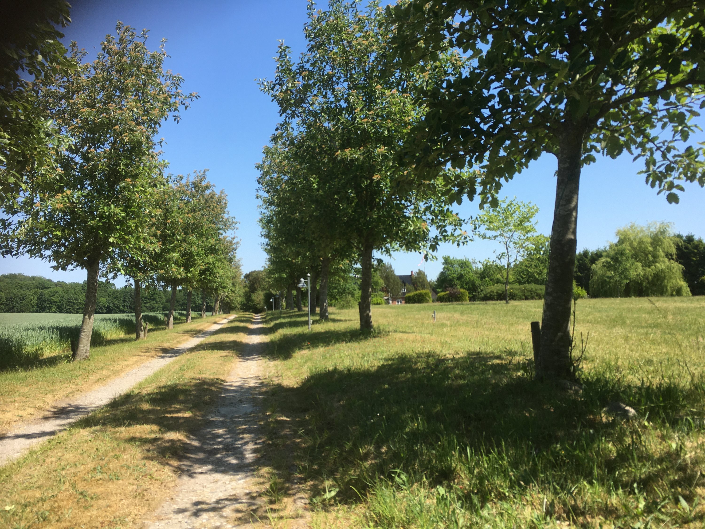 Fremhævet  billede i fuldskærmstilstand. Billede af Højgårdsvej 37, Eskilstrup, 4683 Rønnede