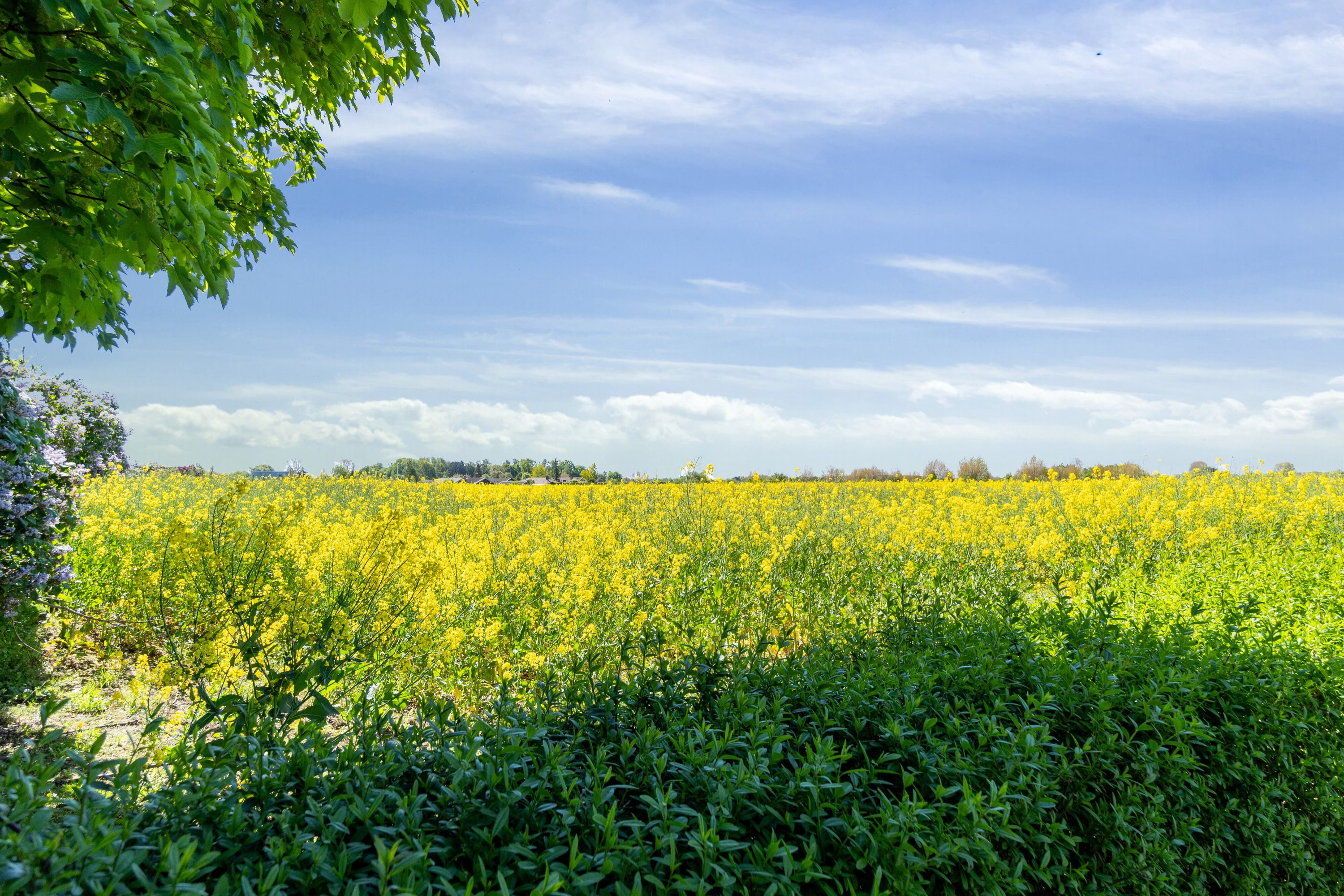 Til Salg - Åløkkevej 1A, Aunslev, 5800 Nyborg - Nybolig