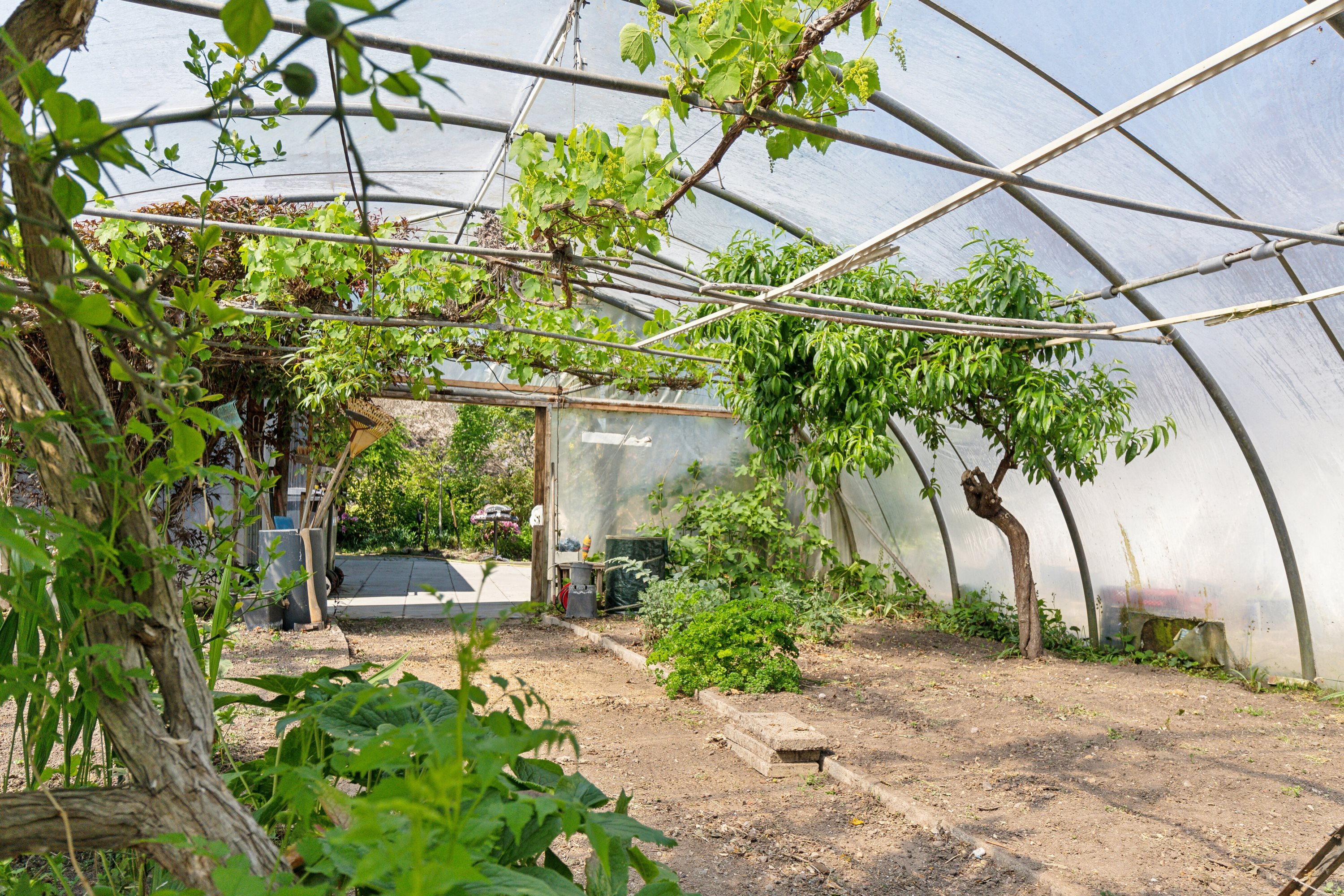 Fremhævet udendørs billede i fuldskærmstilstand. Billede af Selleshøjvænget 6, Højby, 5260 Odense S