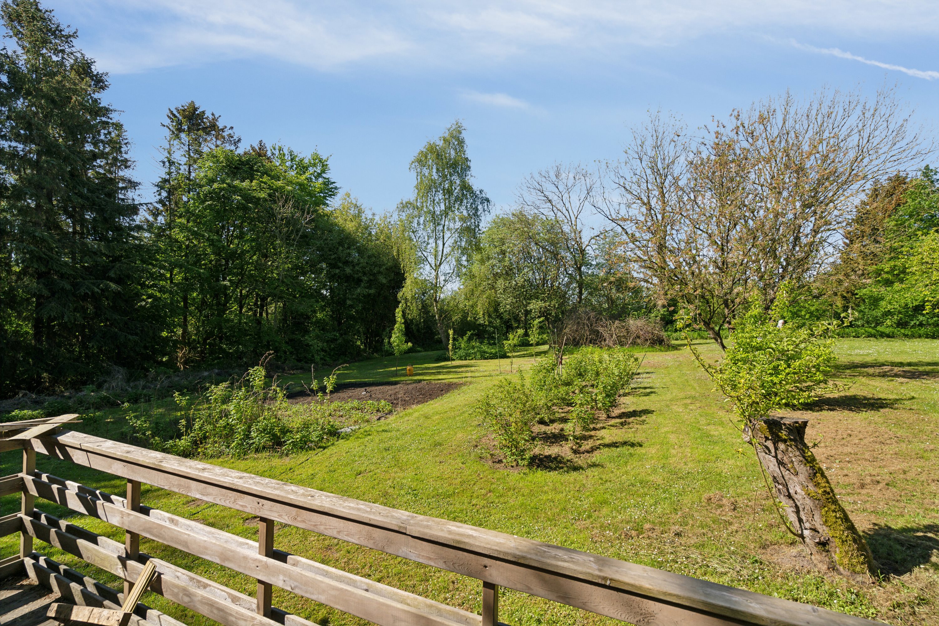 Fremhævet have billede i fuldskærmstilstand. Billede af Volderslev Bygade 7B, Volderslev, 5260 Odense S