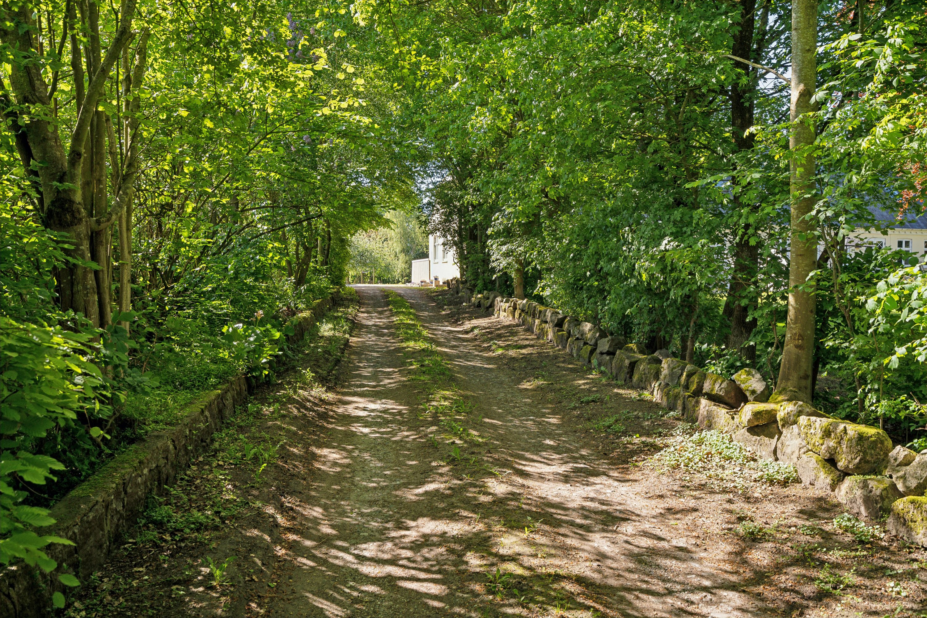 Fremhævet set fra vejen billede i fuldskærmstilstand. Billede af Volderslev Bygade 7B, Volderslev, 5260 Odense S
