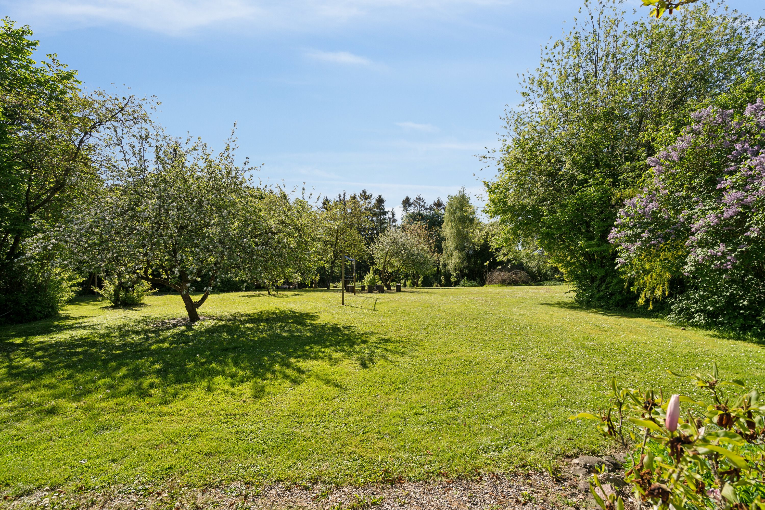 Fremhævet have billede i fuldskærmstilstand. Billede af Volderslev Bygade 7B, Volderslev, 5260 Odense S