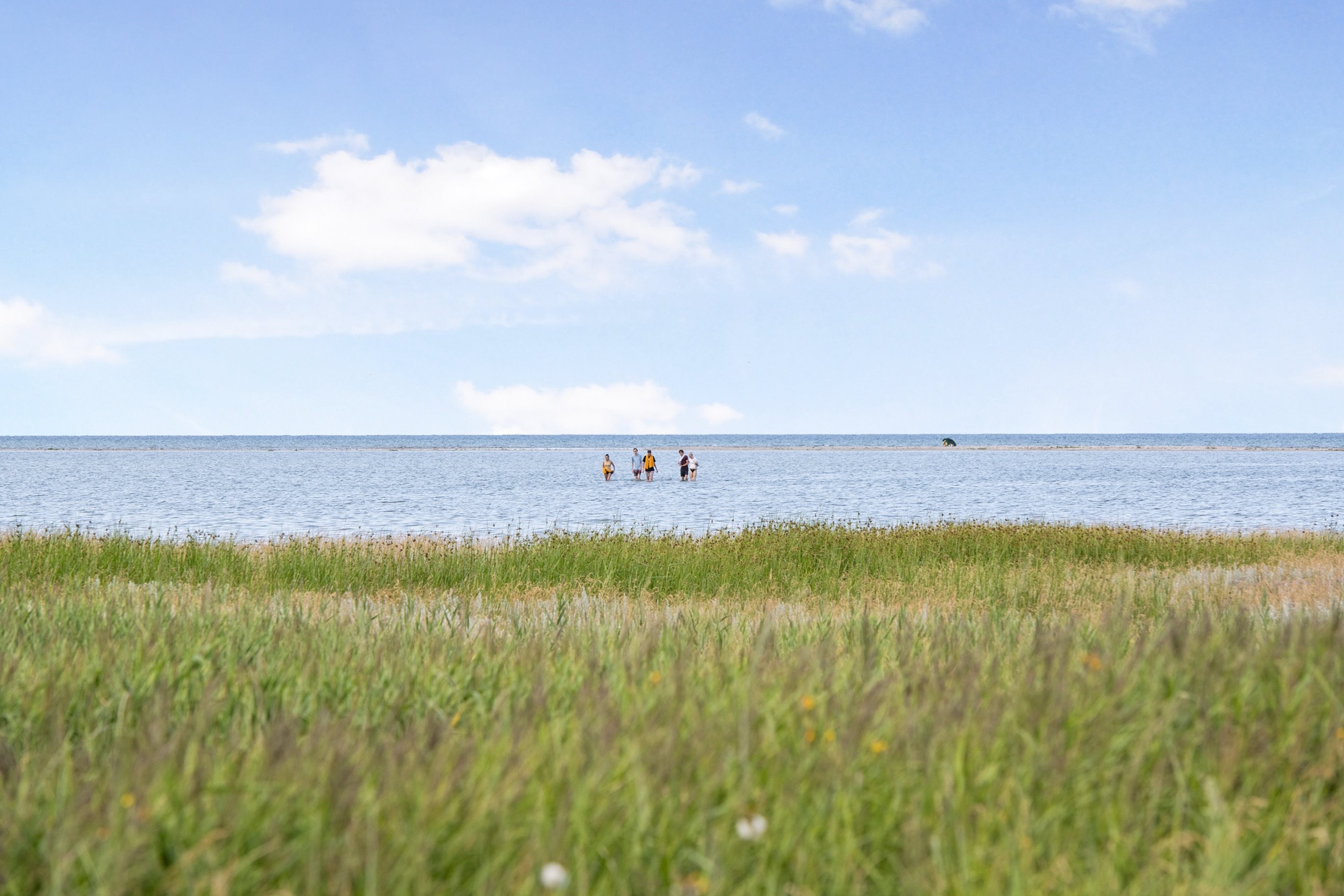 Miniaturebillede 1: . Billede af Fasanvej 37, Store Sjørup, 8950 Ørsted
