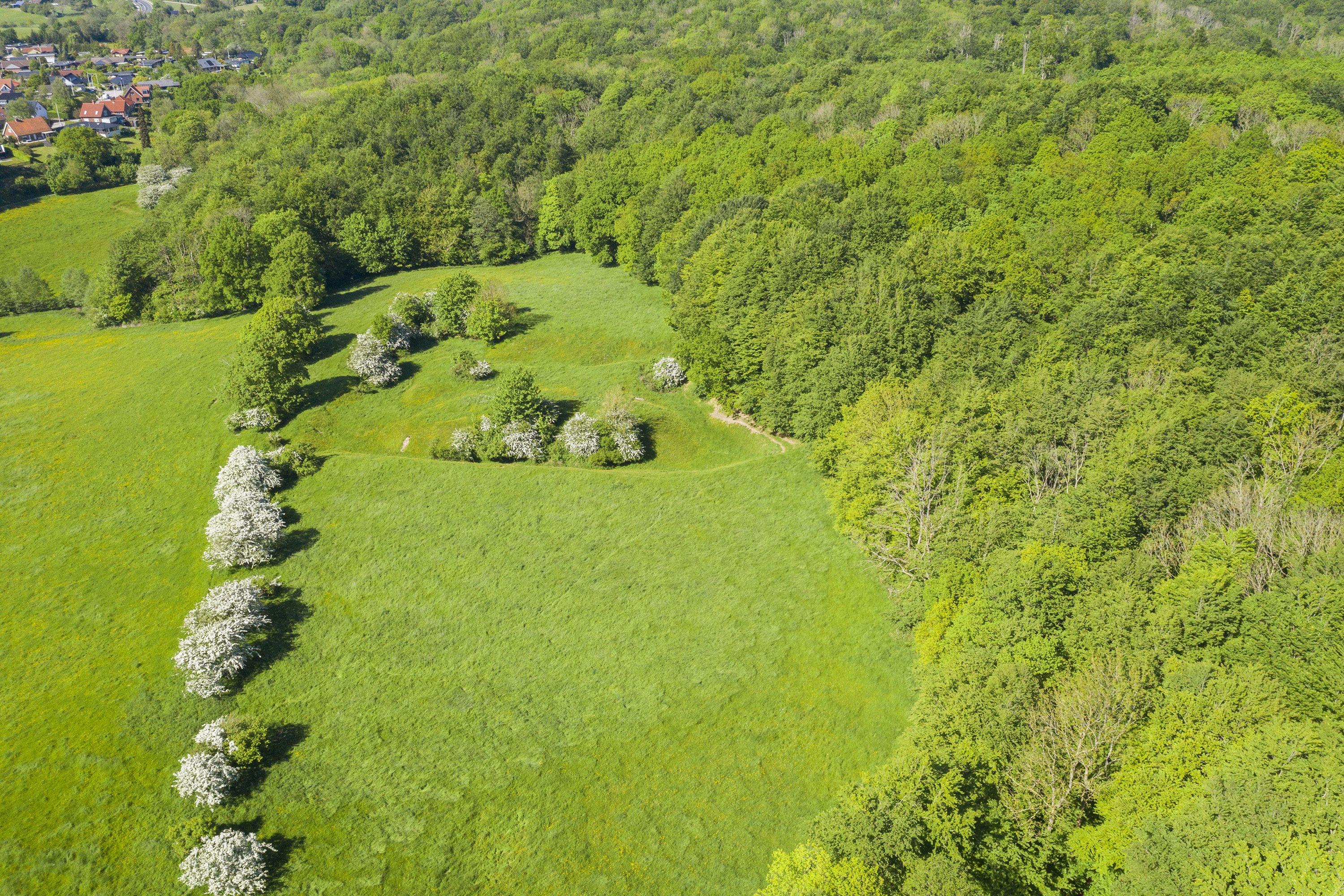 Fremhævet område billede i fuldskærmstilstand. Billede af Dambjerg 23, 6200 Aabenraa