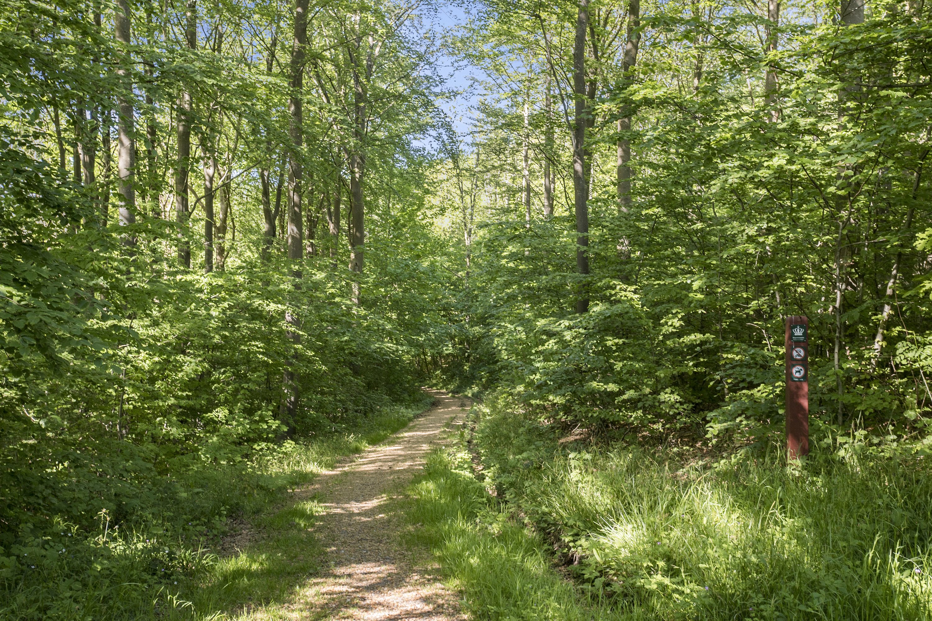 Fremhævet område billede i fuldskærmstilstand. Billede af Dambjerg 23, 6200 Aabenraa