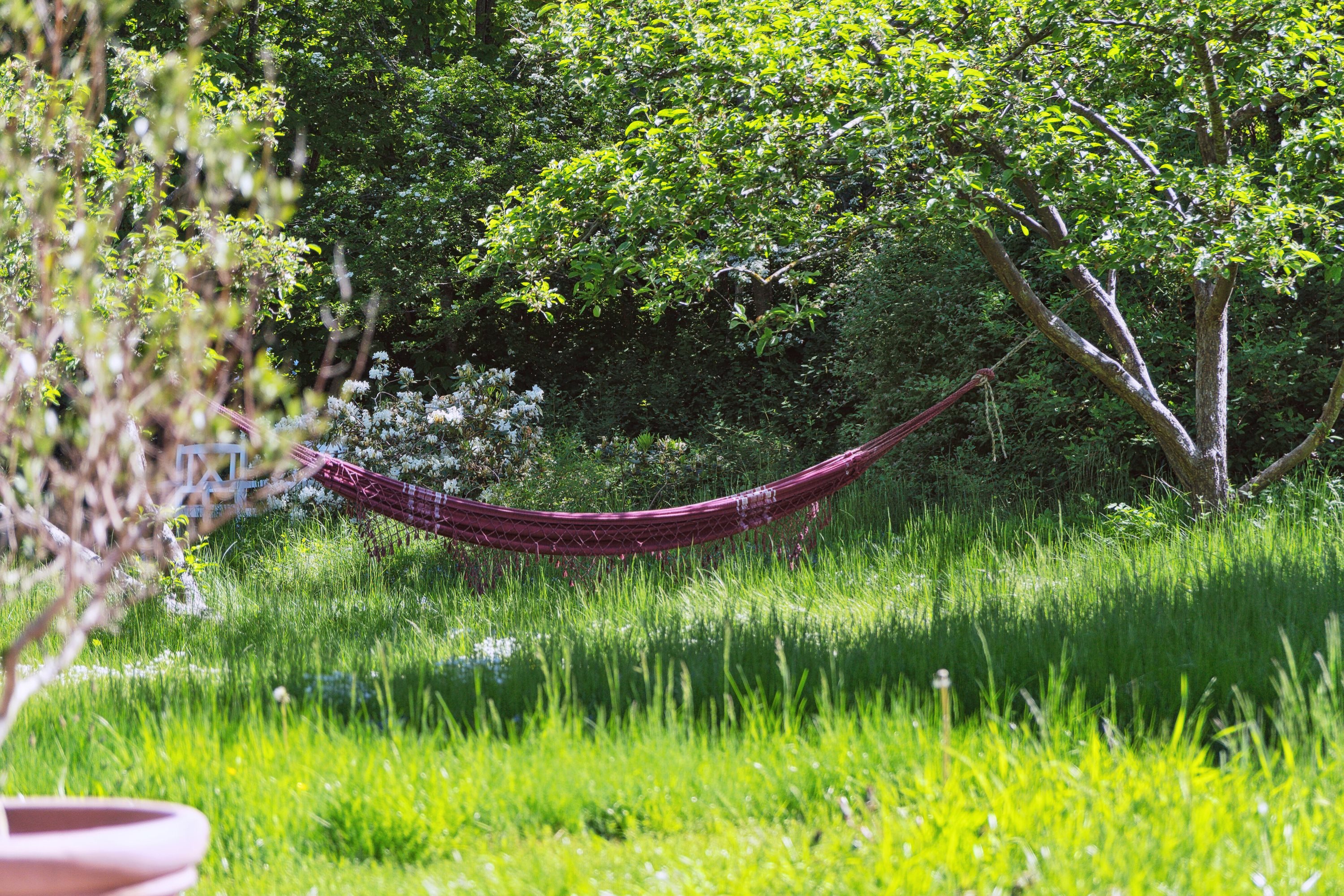 Fremhævet have billede i fuldskærmstilstand. Billede af Østrupvej 103, Østrup, 3670 Veksø Sjælland