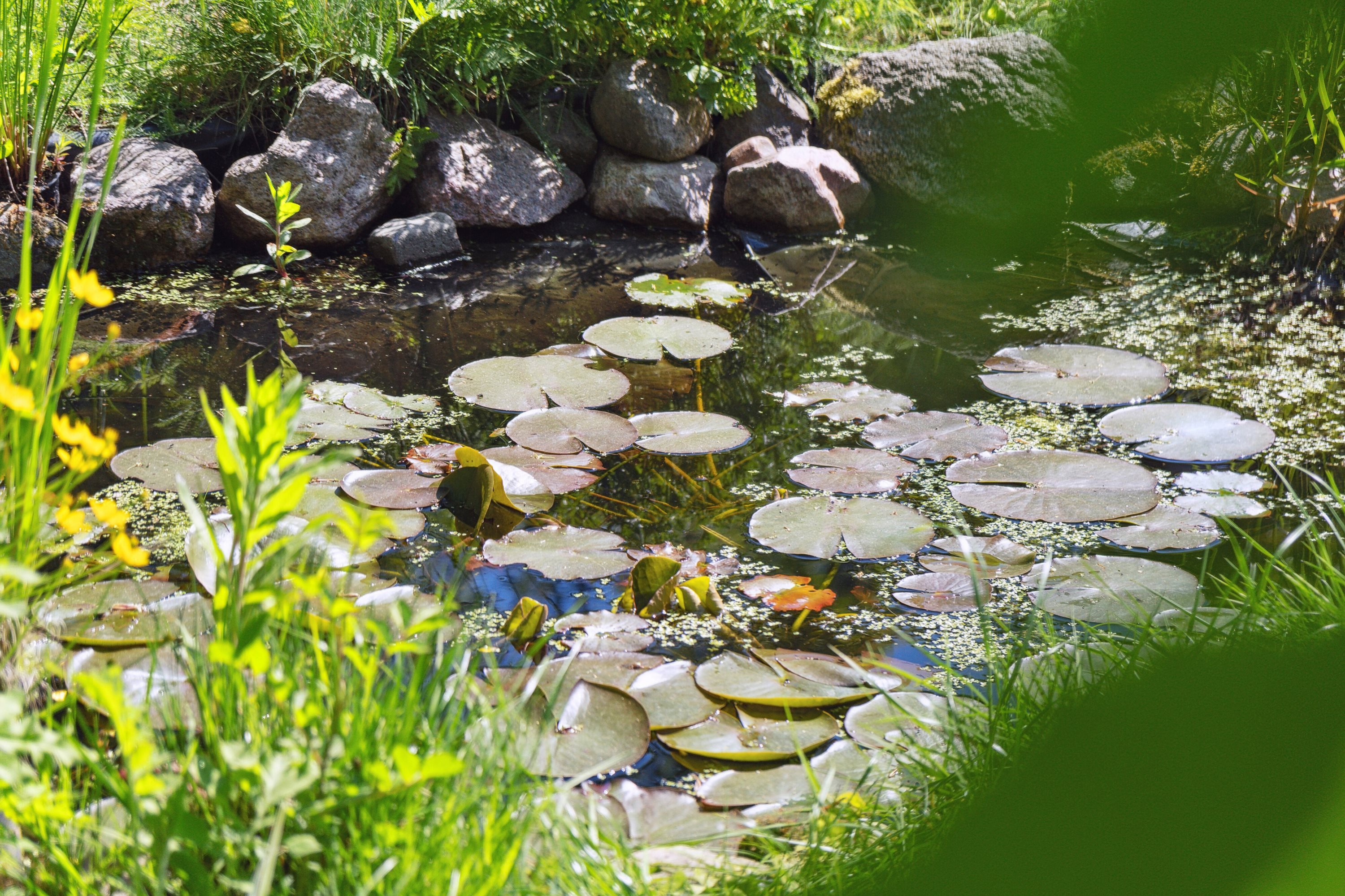 Fremhævet udendørs billede i fuldskærmstilstand. Billede af Østrupvej 103, Østrup, 3670 Veksø Sjælland