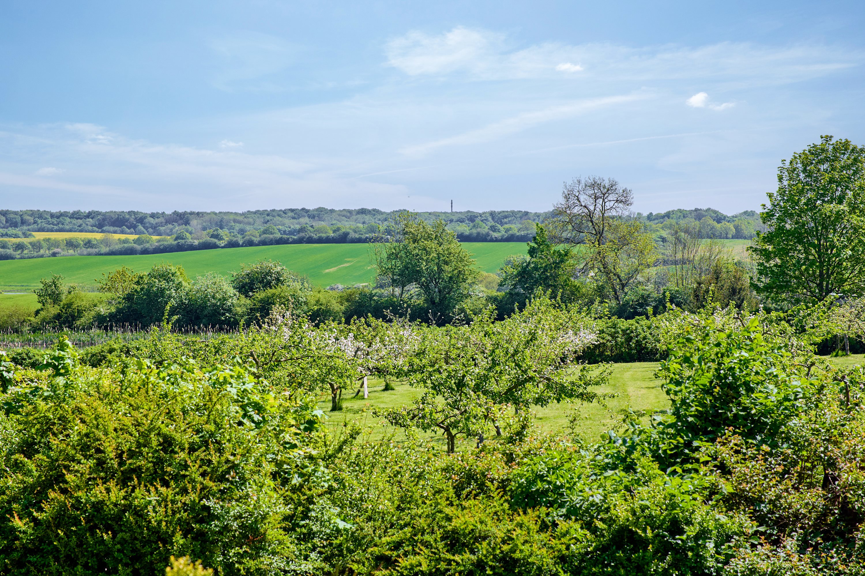 Miniaturebillede 2: . Billede af Hørret Byvej 8, 8320 Mårslet